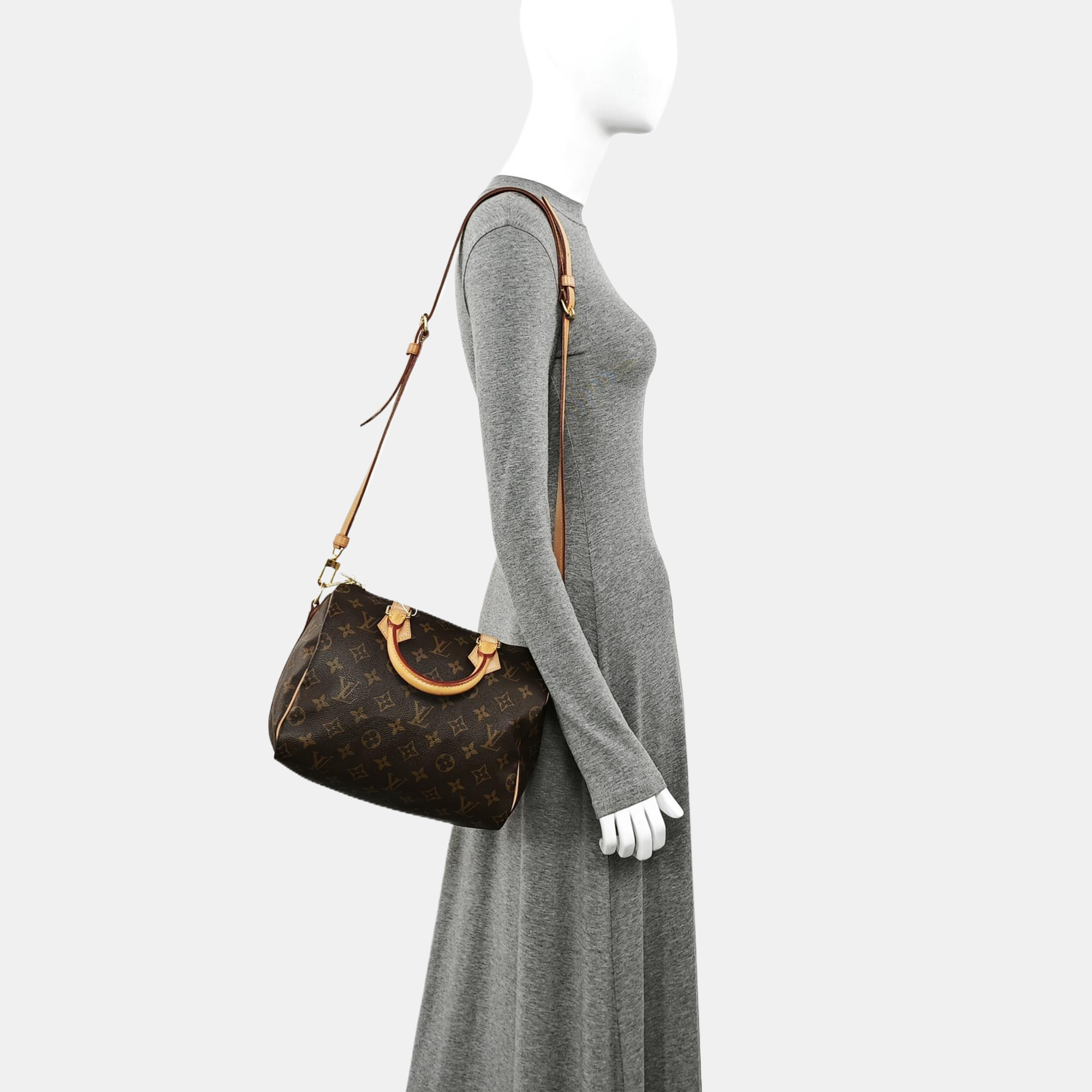 SPEEDY 25 Monogram Coated Canvas Brown