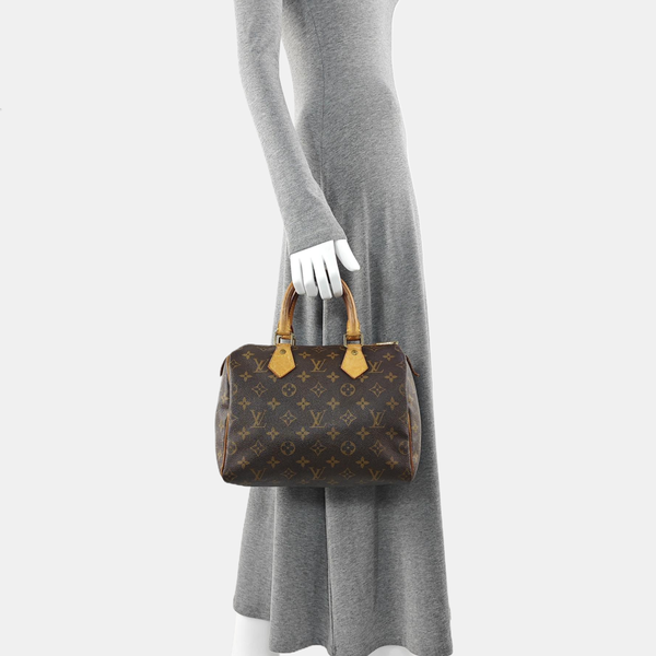 SPEEDY 25 Monogram Coated Canvas Brown