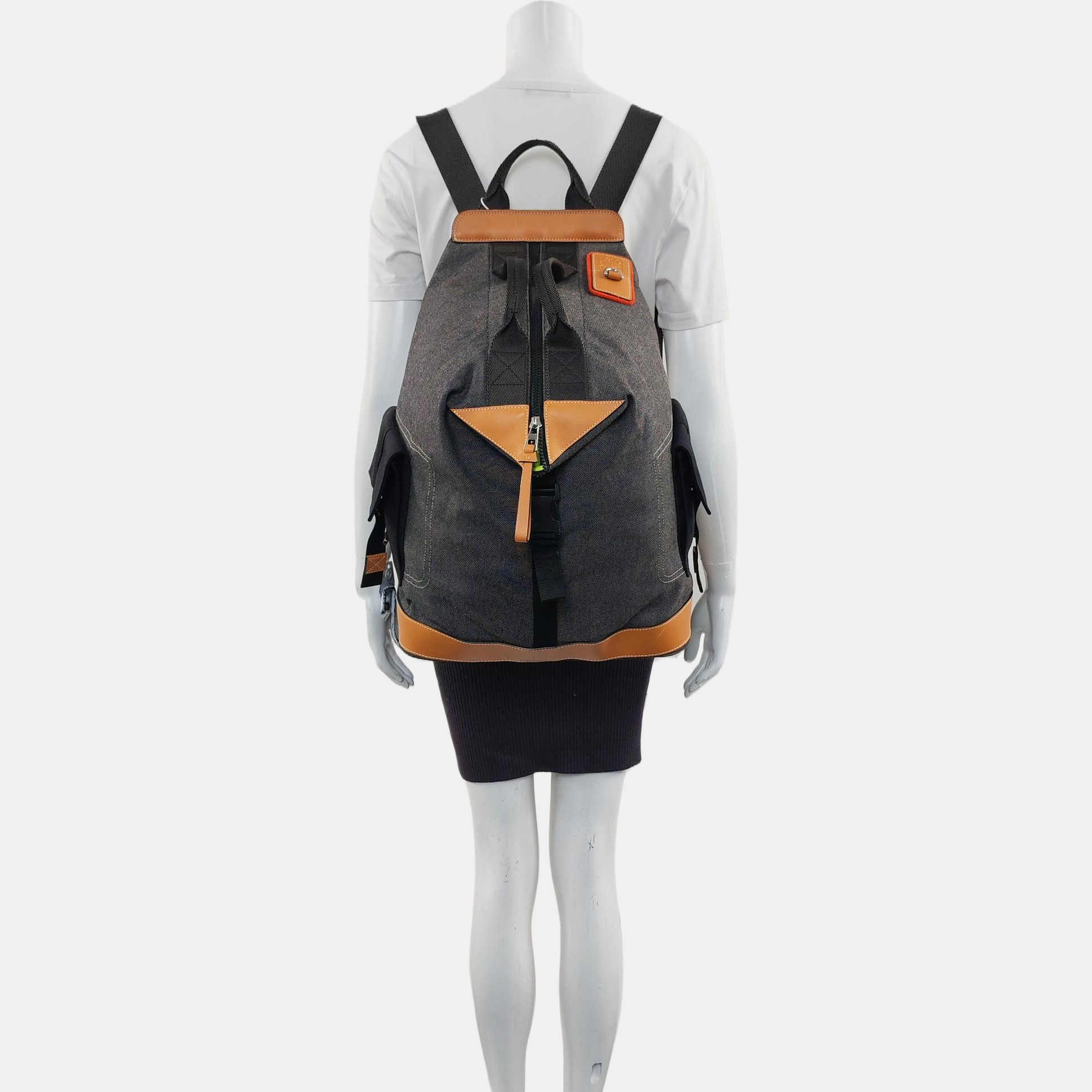 Eye/loewe/nature Canvas Gray