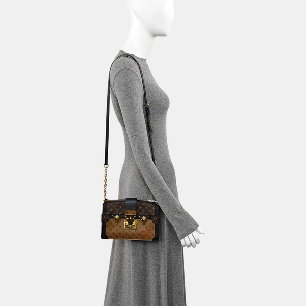 TRUNK Monogram Coated Canvas Brown
