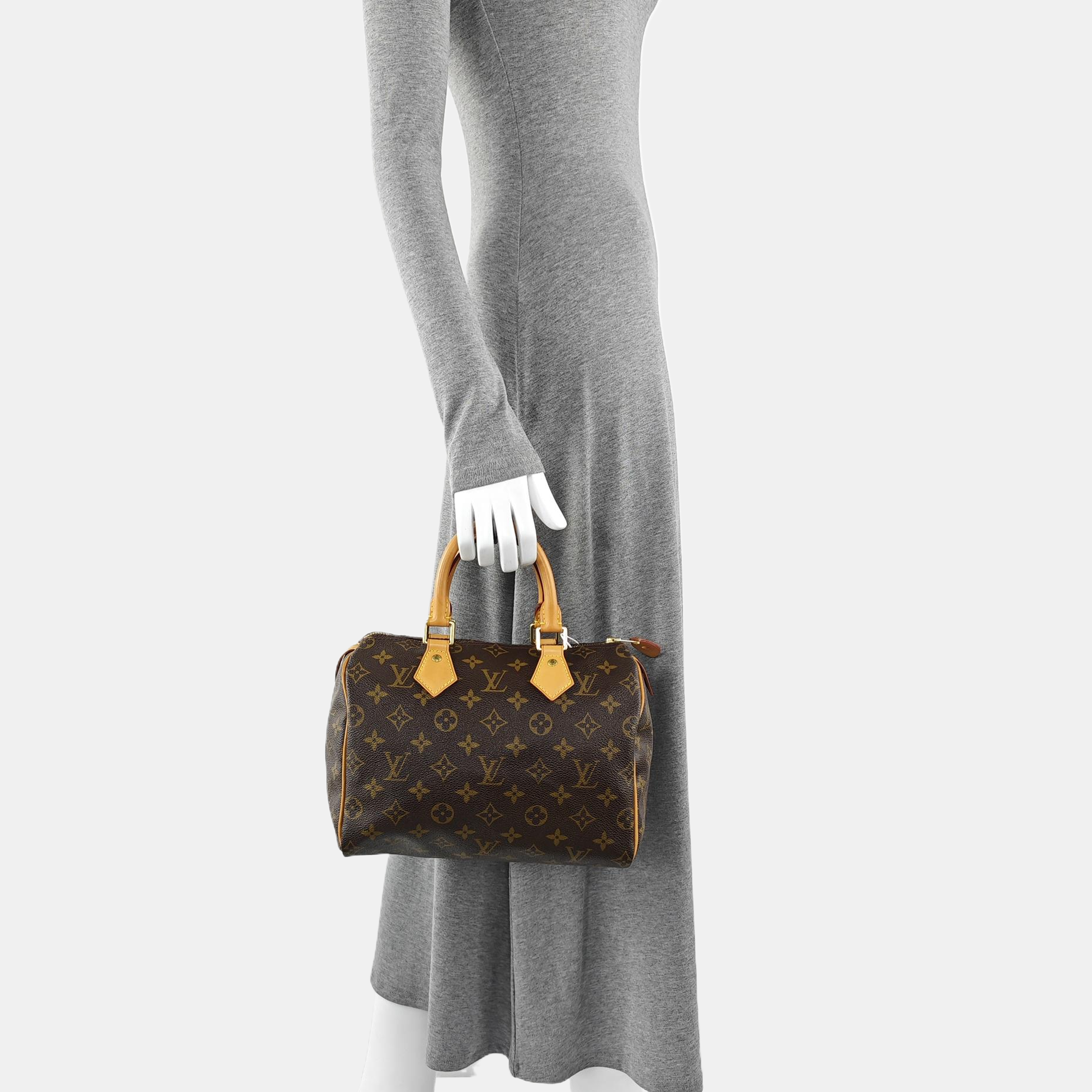 SPEEDY 25 Monogram Coated Canvas Brown