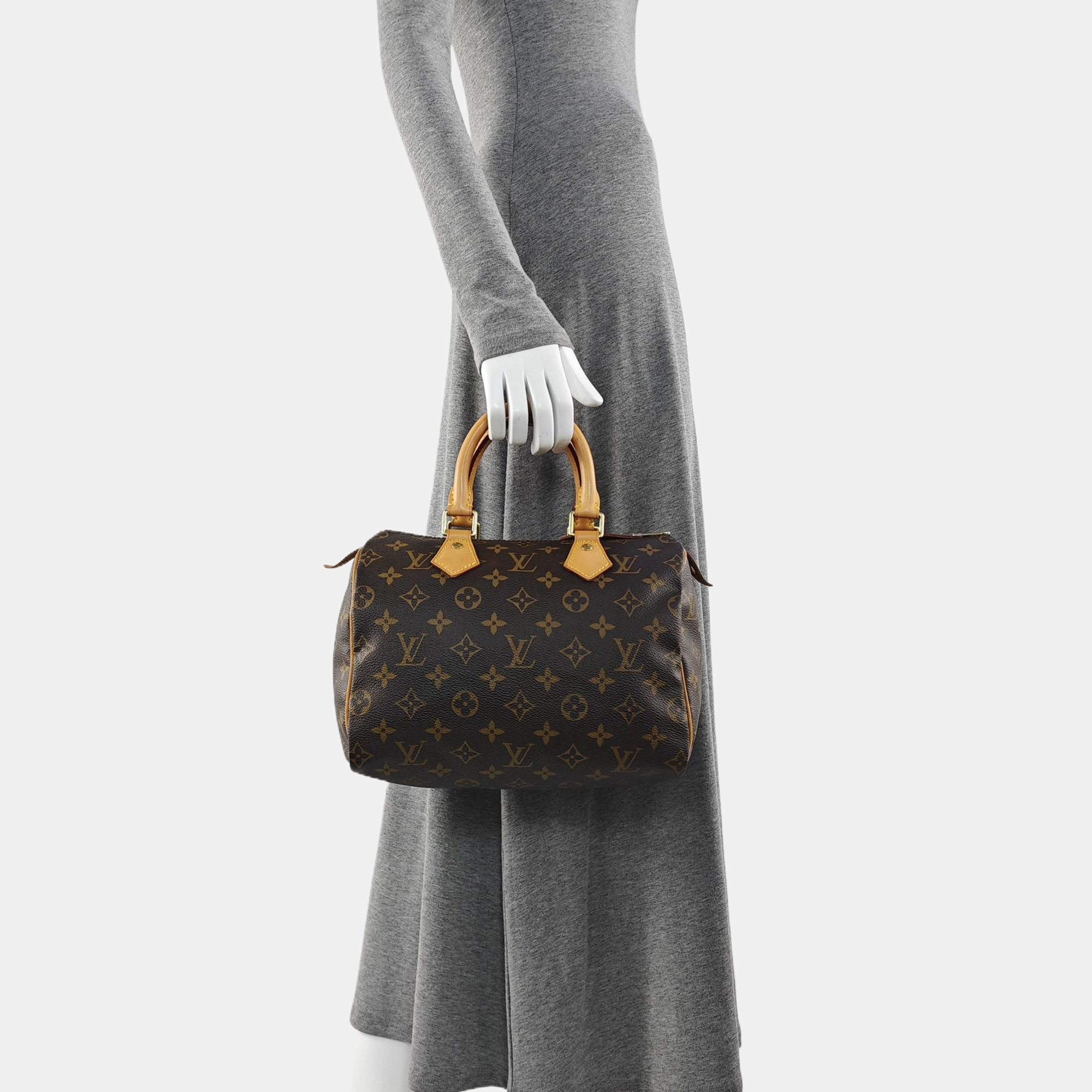 SPEEDY 25 Monogram Coated Canvas Brown