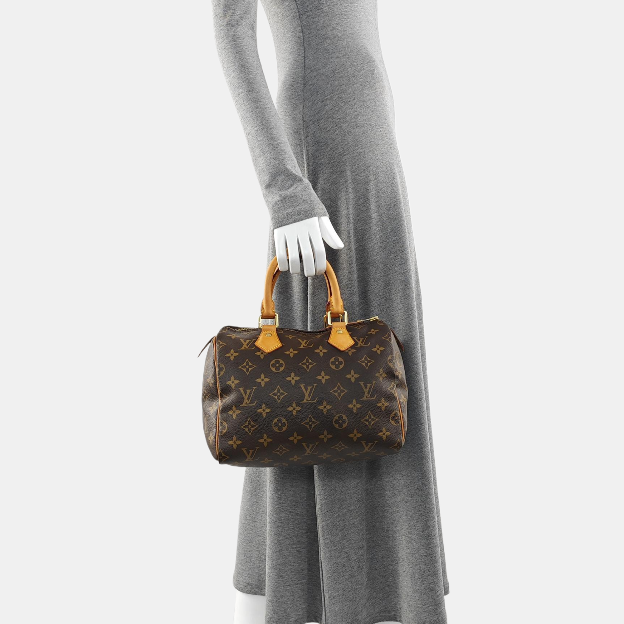 SPEEDY 25 Monogram Coated Canvas Brown