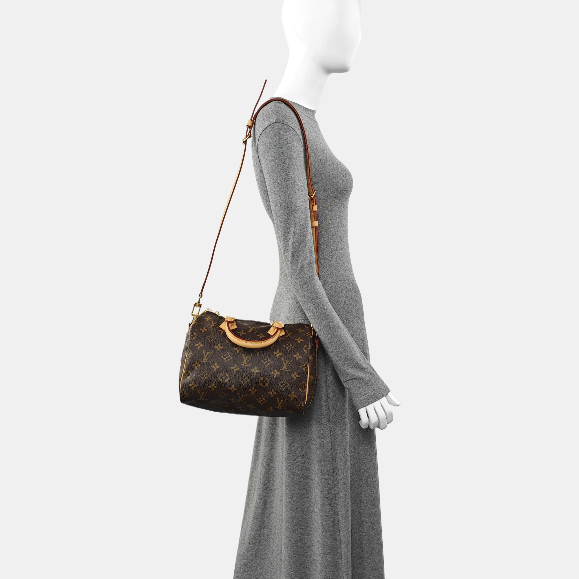 SPEEDY 25 Monogram Coated Canvas Brown