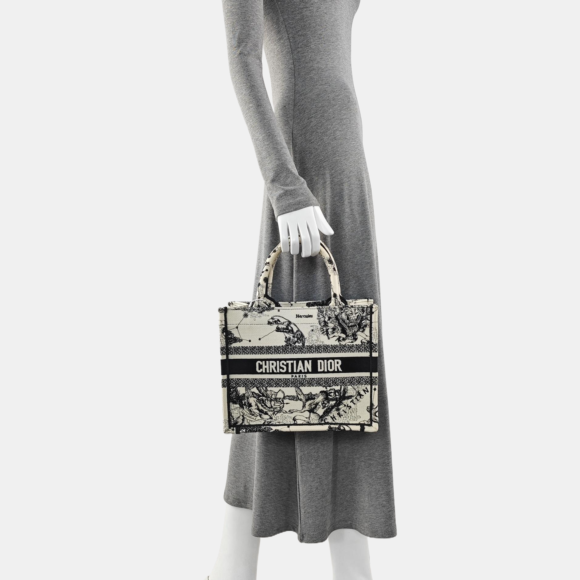 Book Tote Small Canvas White