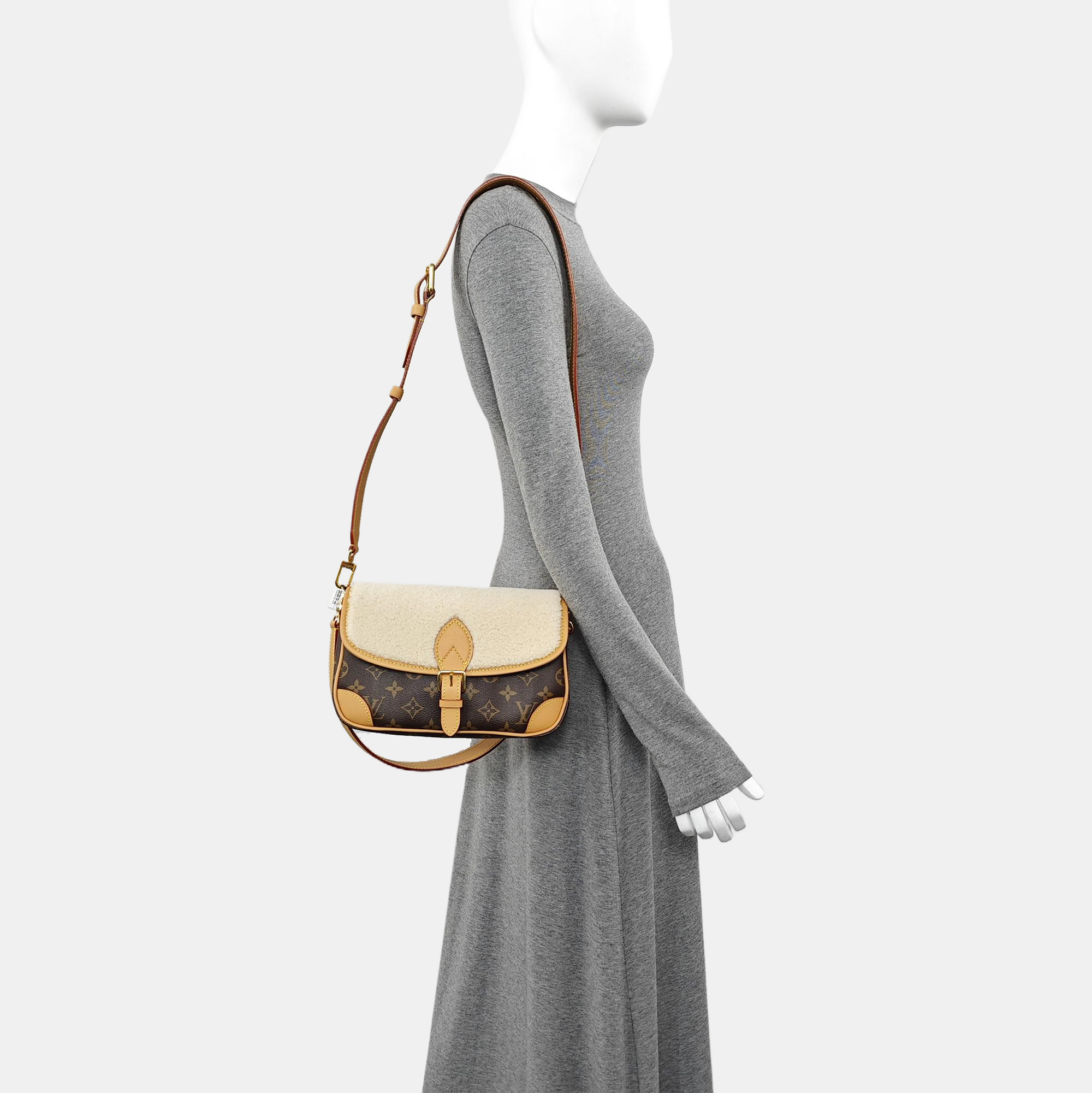 DIANE Monogram Coated Canvas Multicolor