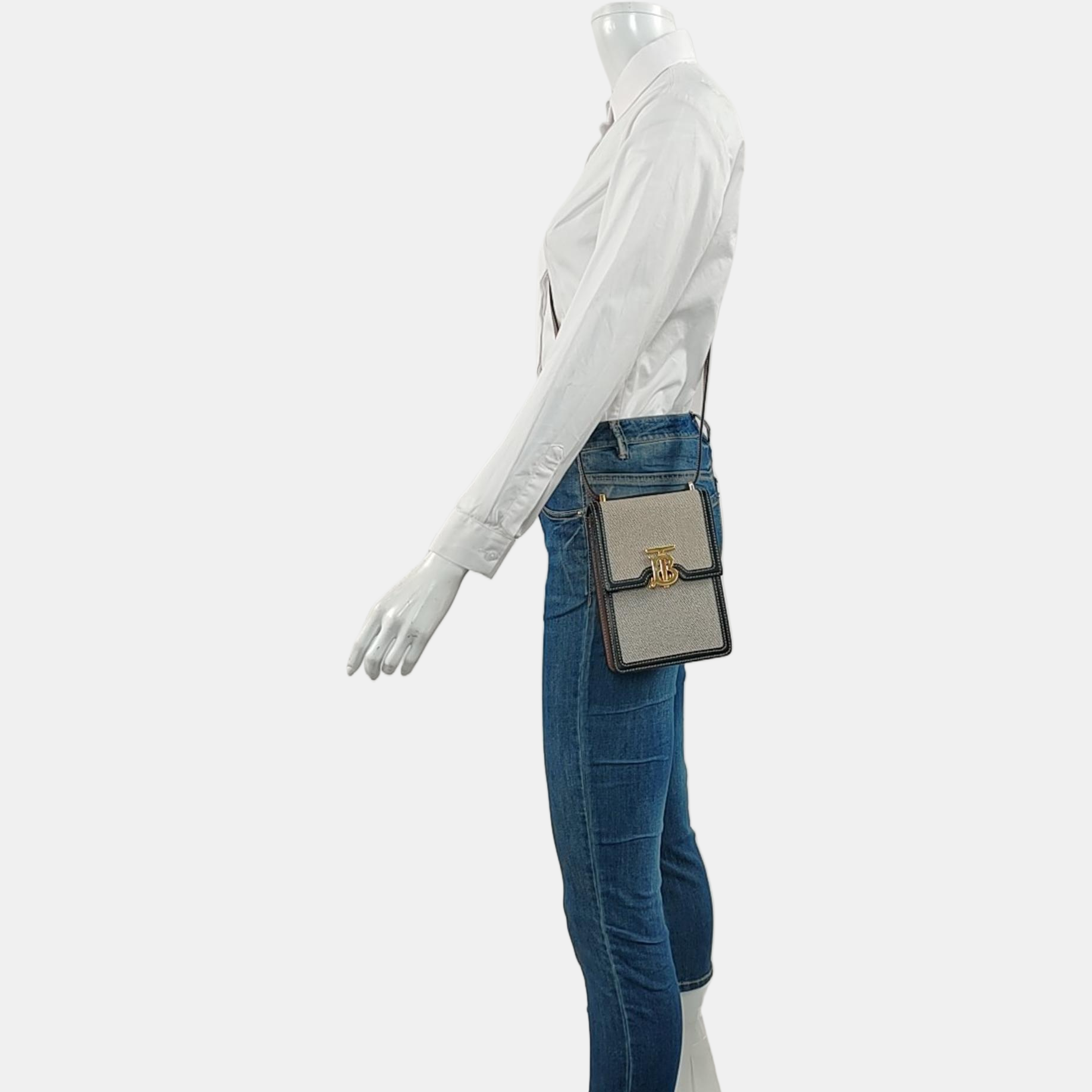 Robin Canvas Gray