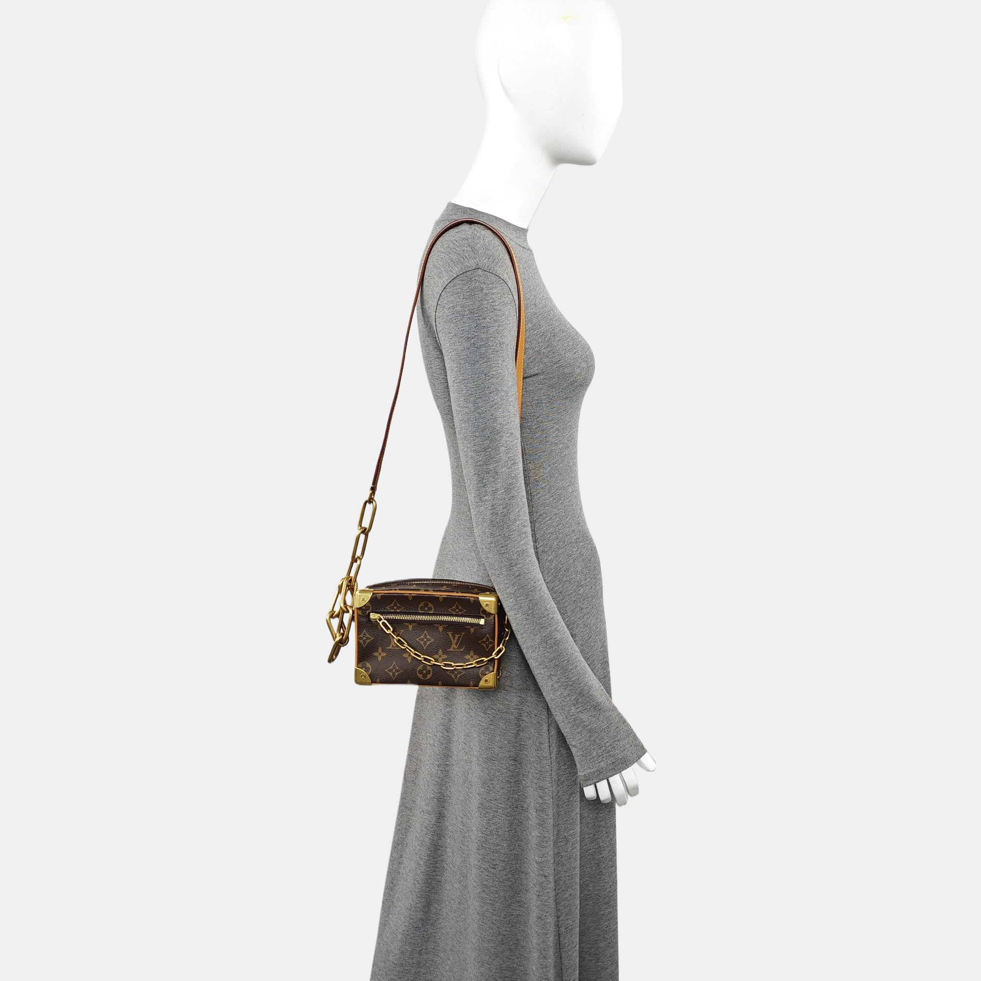 SOFT TRUNK Mini Monogram Coated Canvas Brown