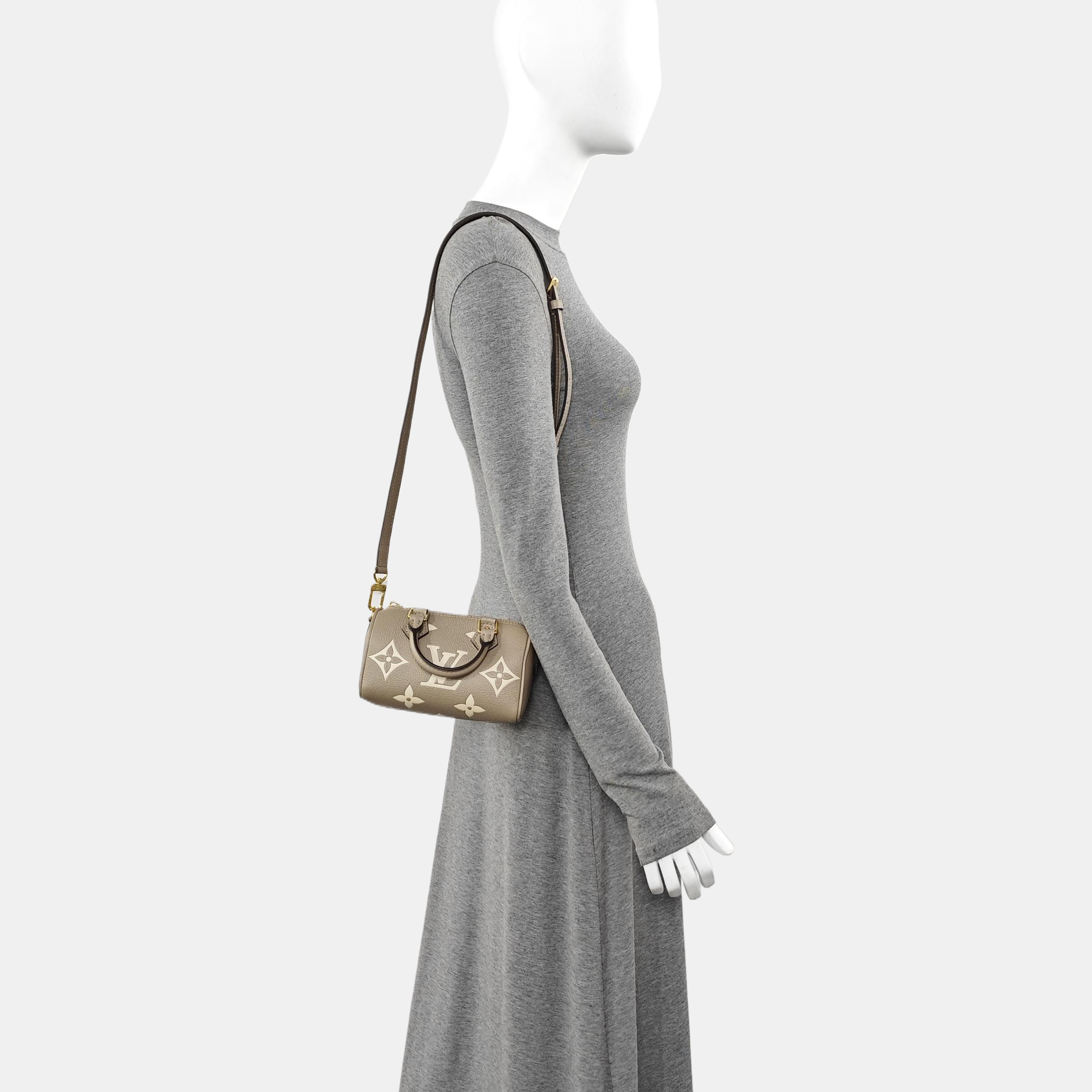 SPEEDY Nano Monogram Calfskin Gray