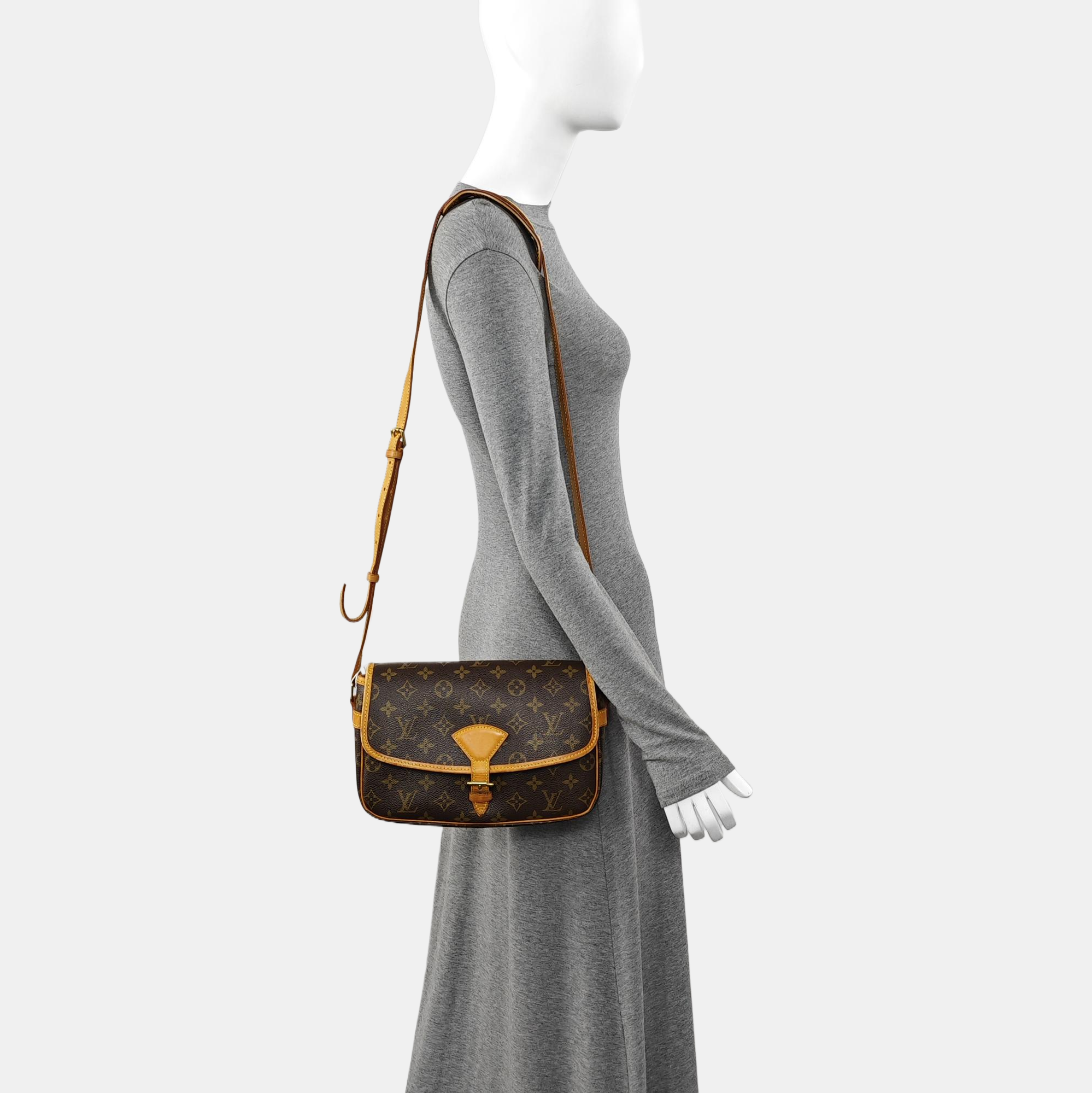 SOLOGNE PM Monogram Coated Canvas Brown