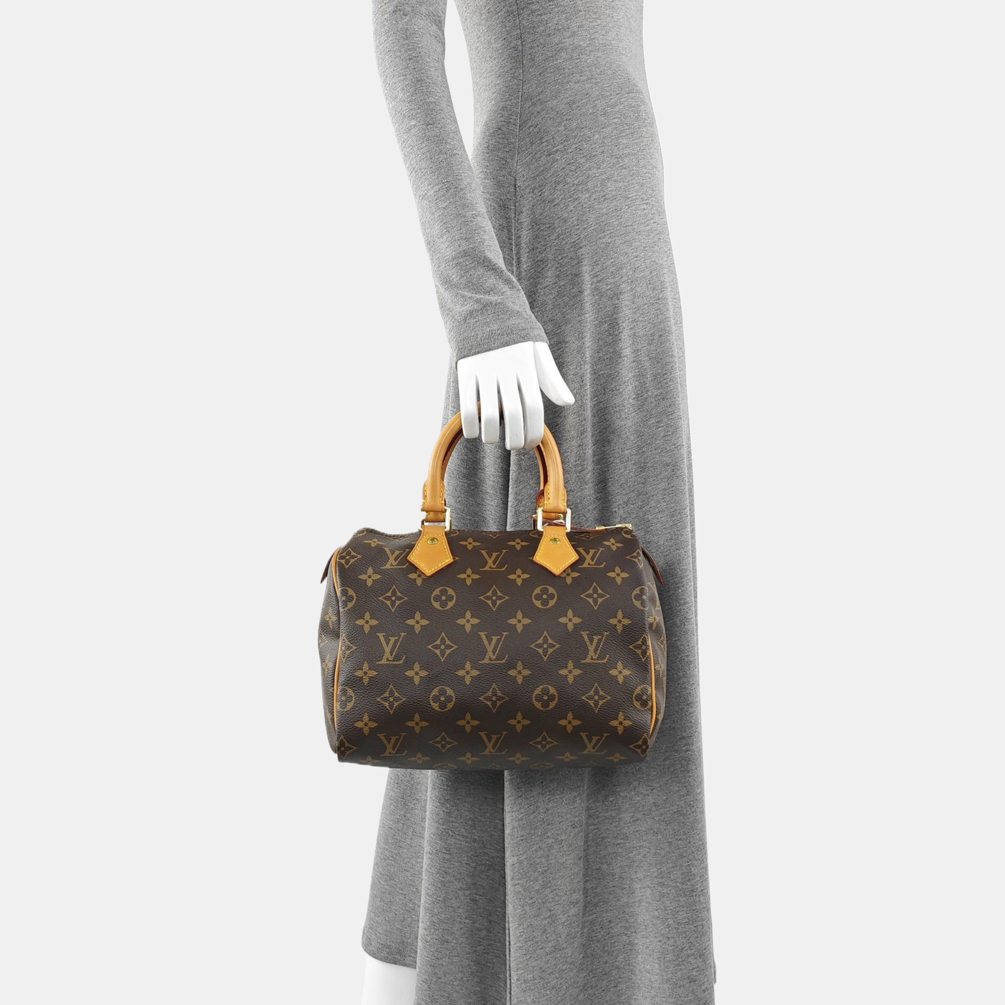 SPEEDY 25 Monogram Coated Canvas Brown