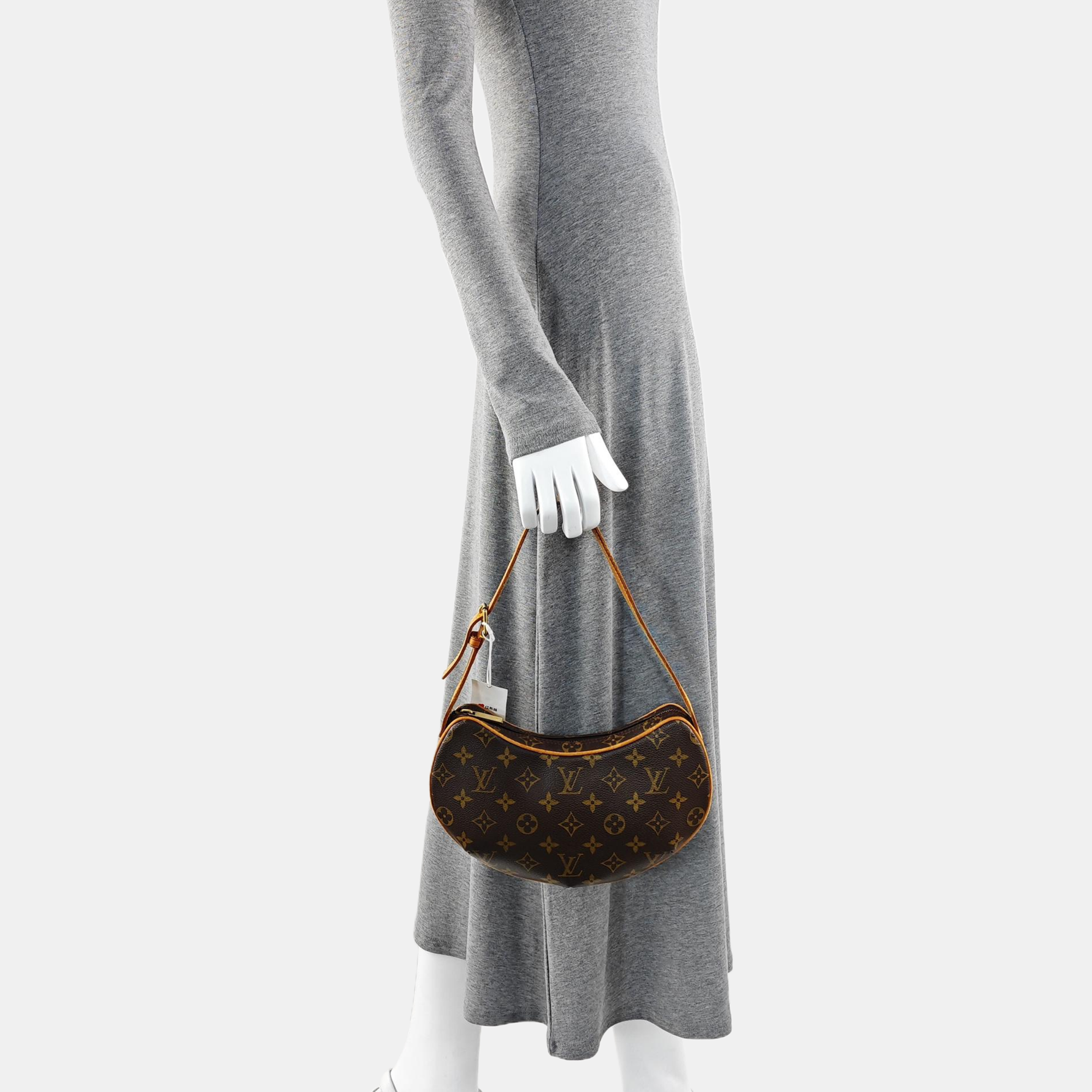 CROISSANT PM Monogram Coated Canvas Brown