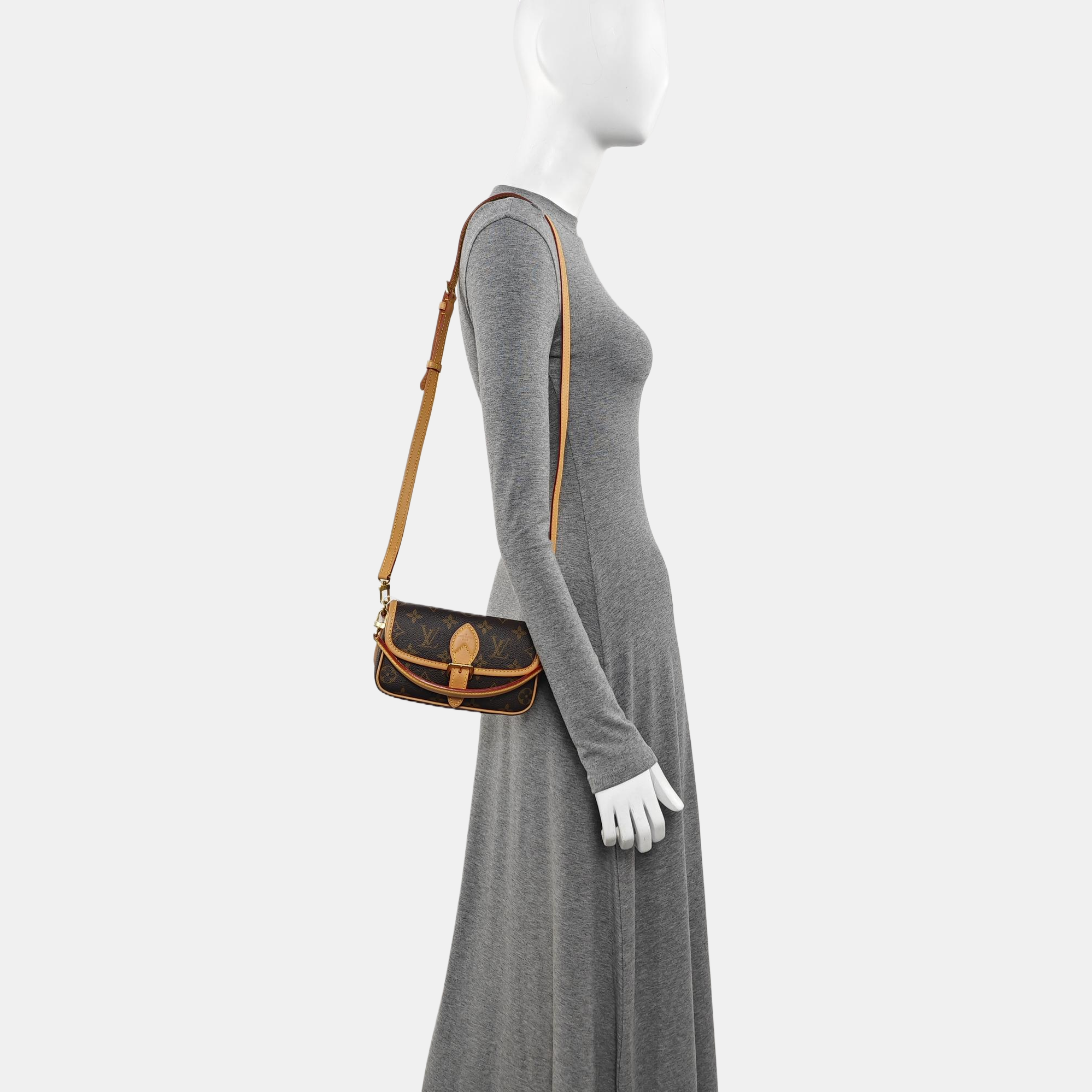 DIANE Nano Monogram Coated Canvas Brown
