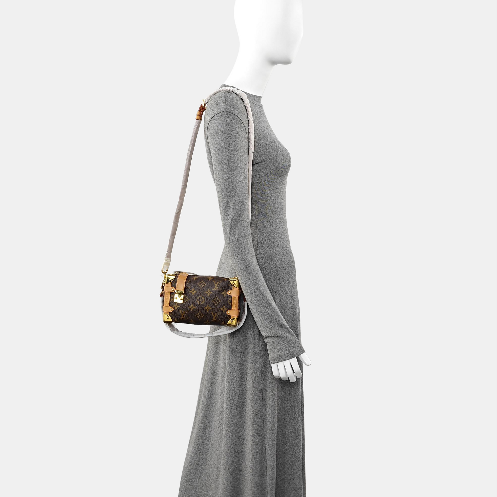 SIDE TRUNK PM Monogram Coated Canvas Brown