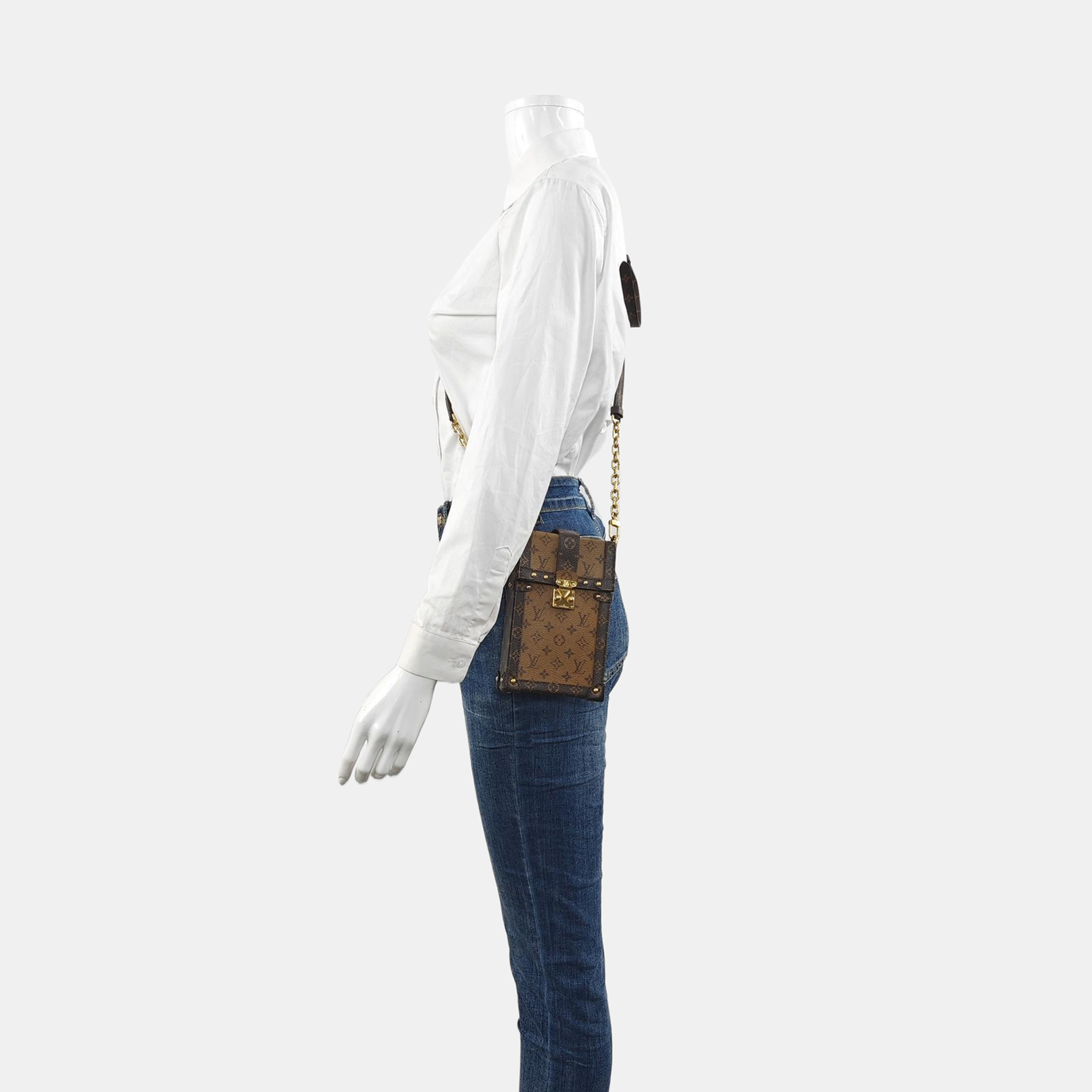 TRUNK Monogram Coated Canvas Brown