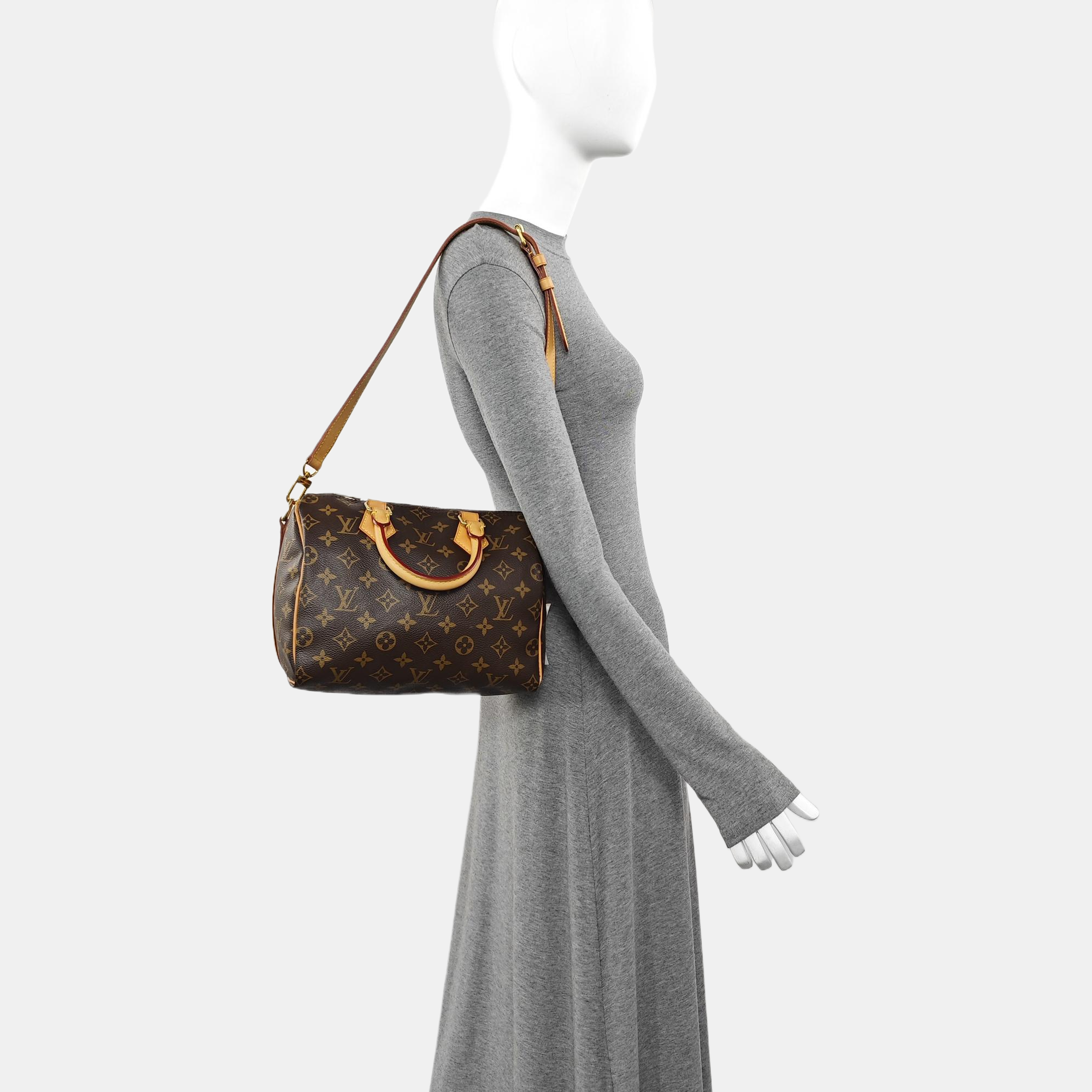 SPEEDY 25 Monogram Coated Canvas Brown