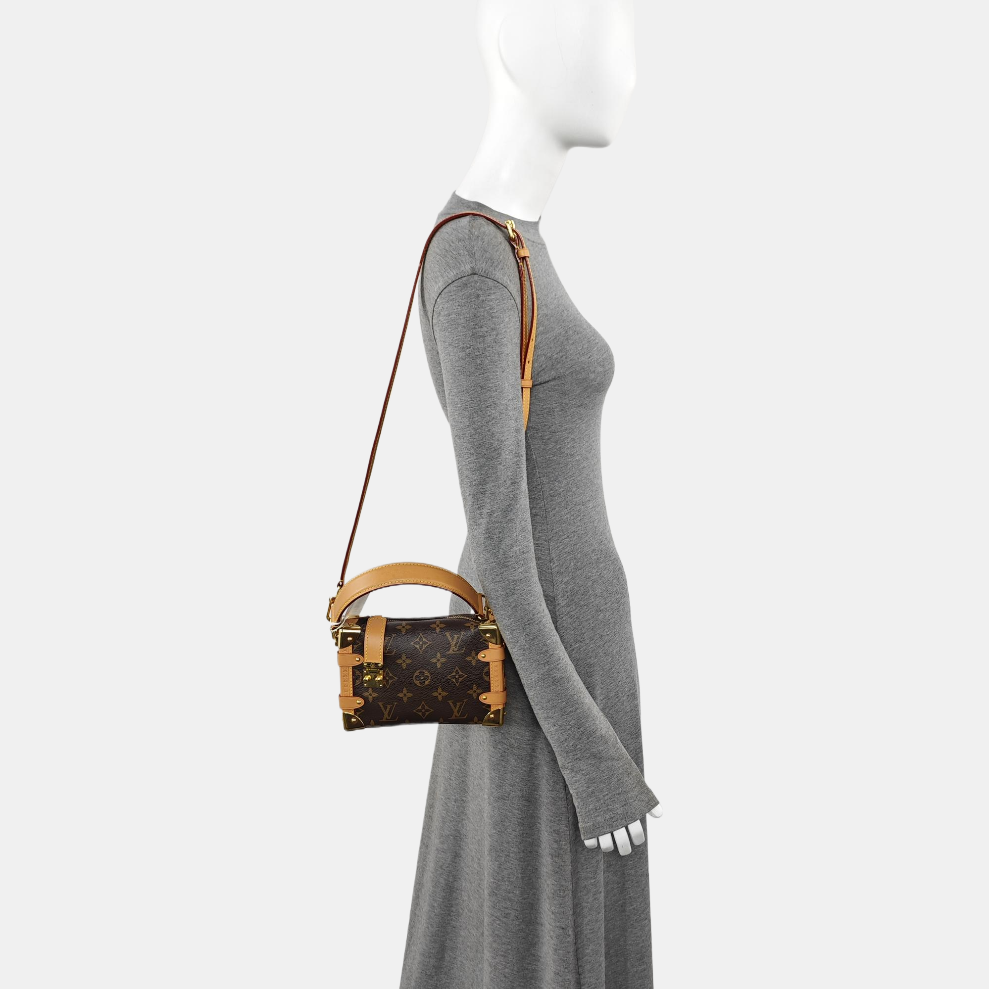 SIDE TRUNK PM Monogram Coated Canvas Brown