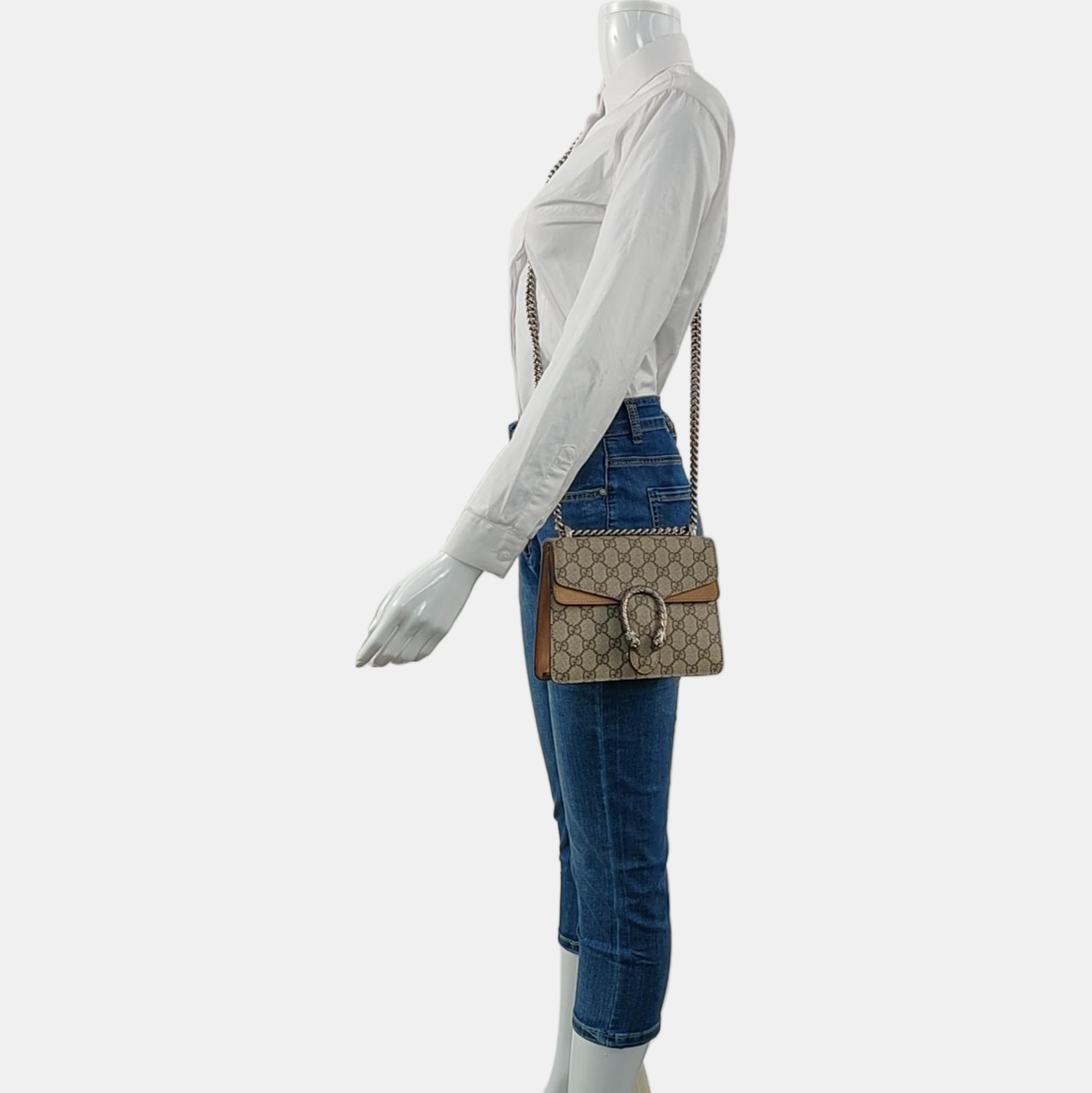 Dionysus Mini Monogram Coated Canvas Beige