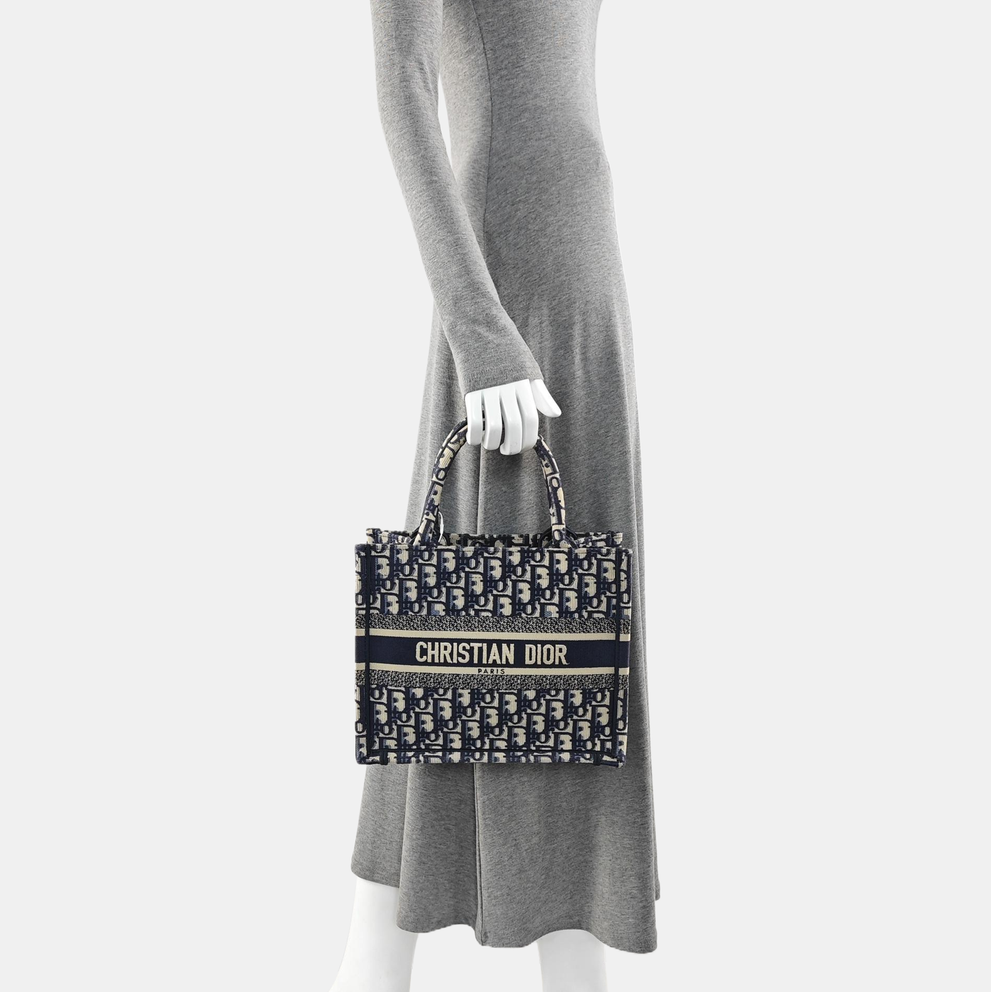 Book Tote Small Oblique Canvas Blue