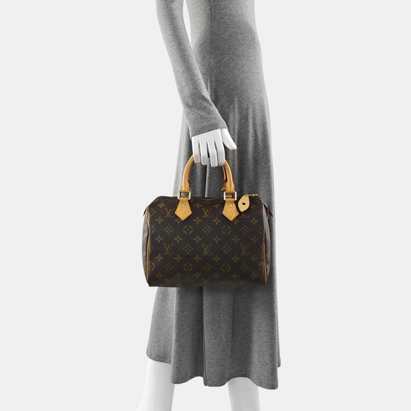 SPEEDY 25 Monogram Coated Canvas Brown