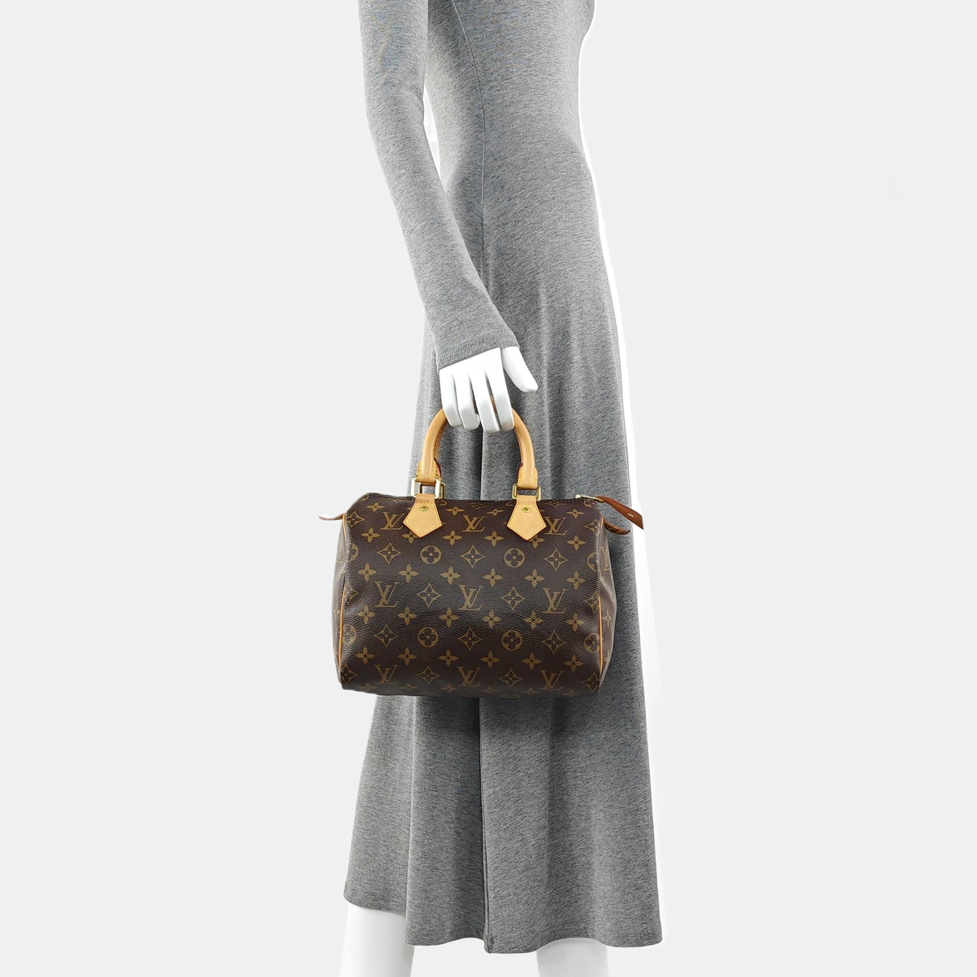 SPEEDY 25 Monogram Coated Canvas Brown