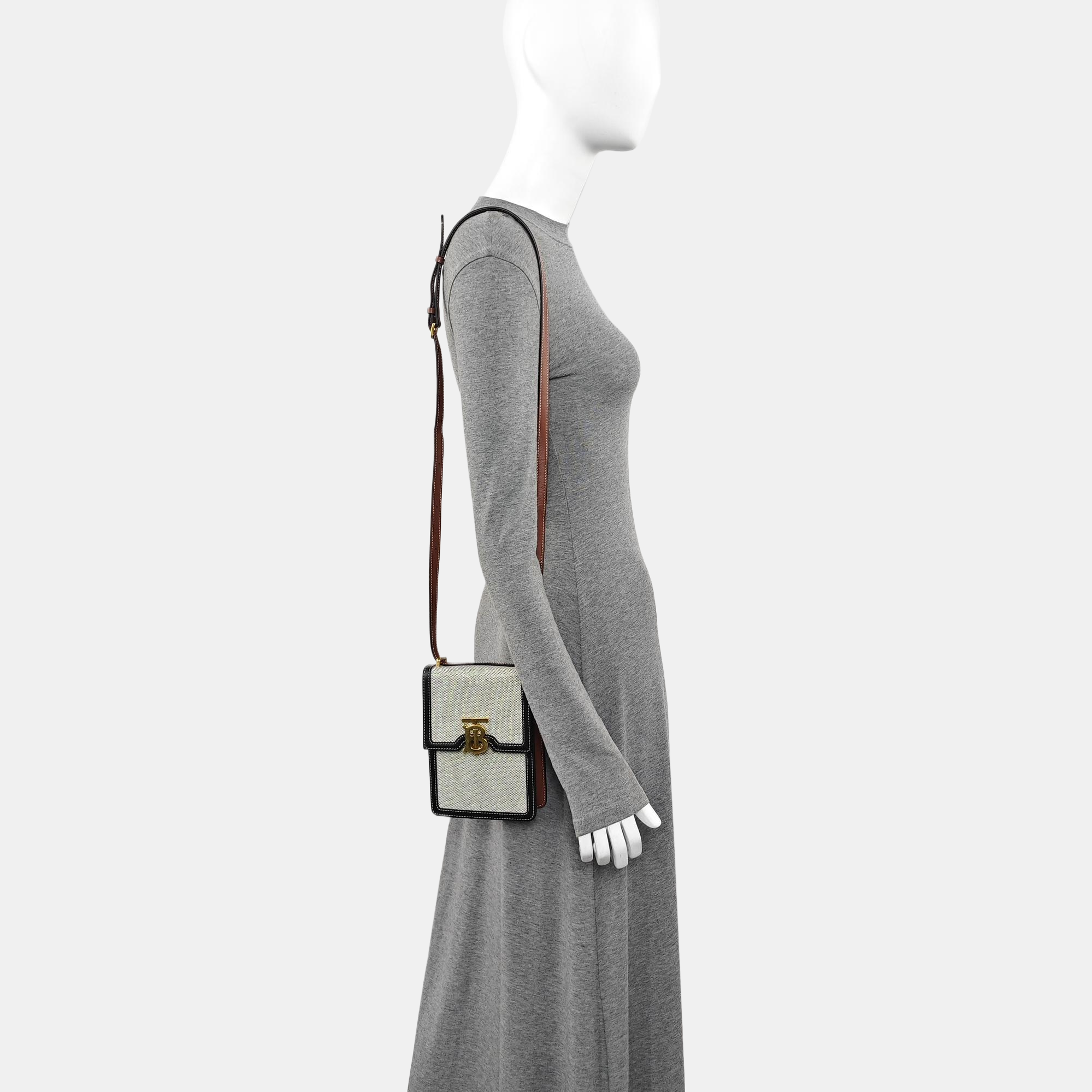 Robin Canvas Gray
