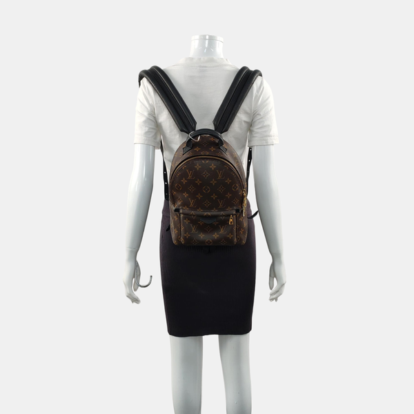 PALM SPRINGS PM Monogram Coated Canvas Brown
