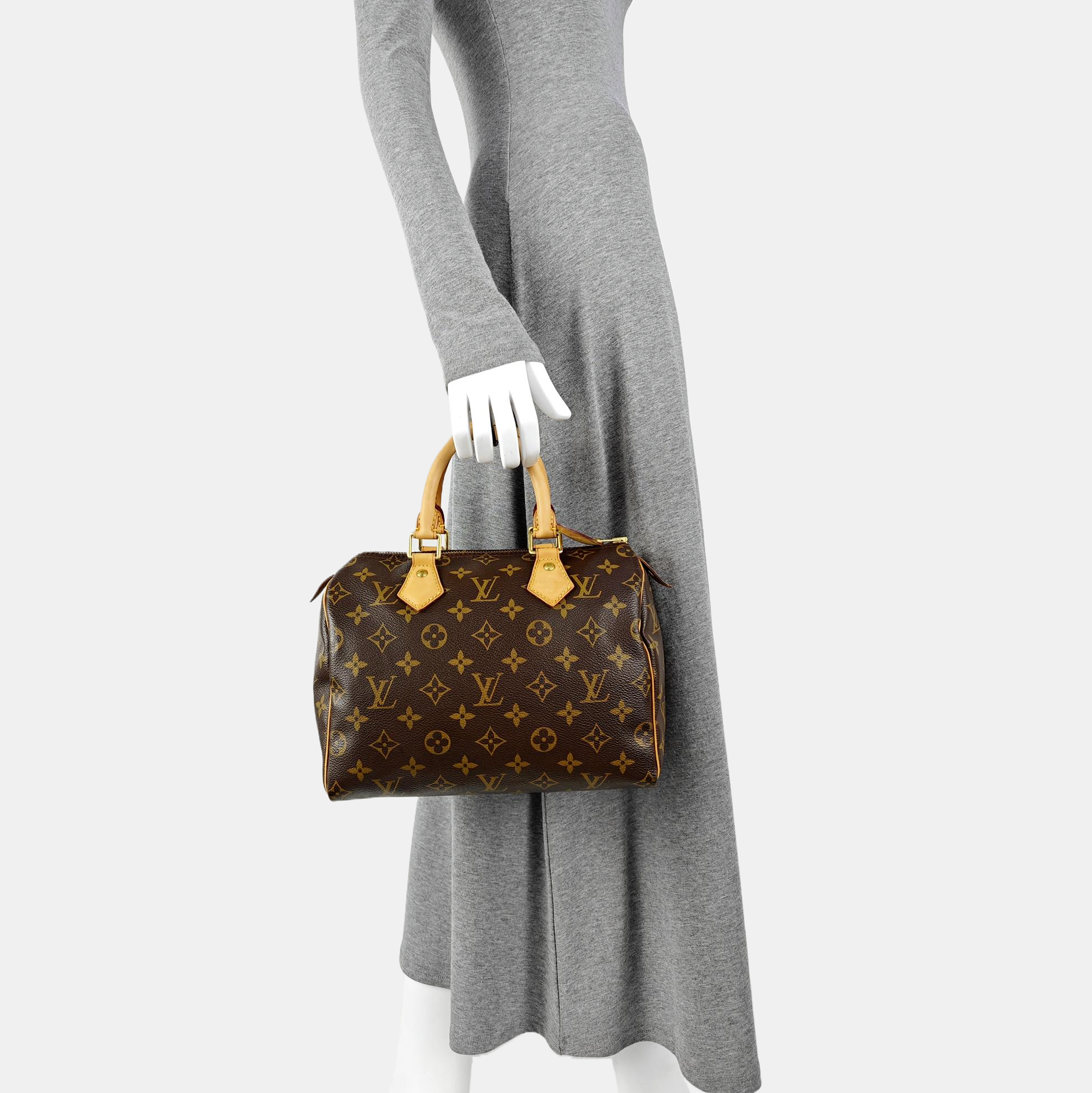 SPEEDY 25 Monogram Coated Canvas Brown