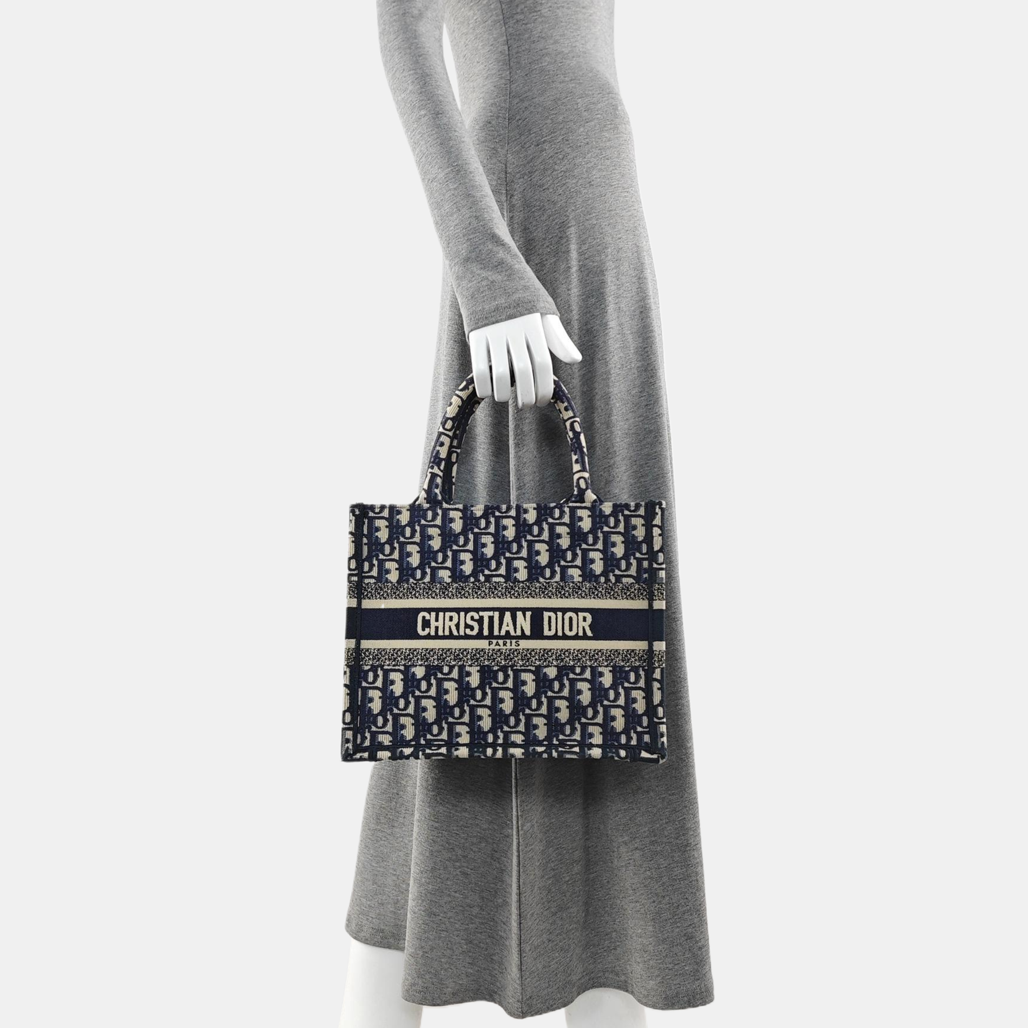 Book Tote Small Oblique Canvas Blue