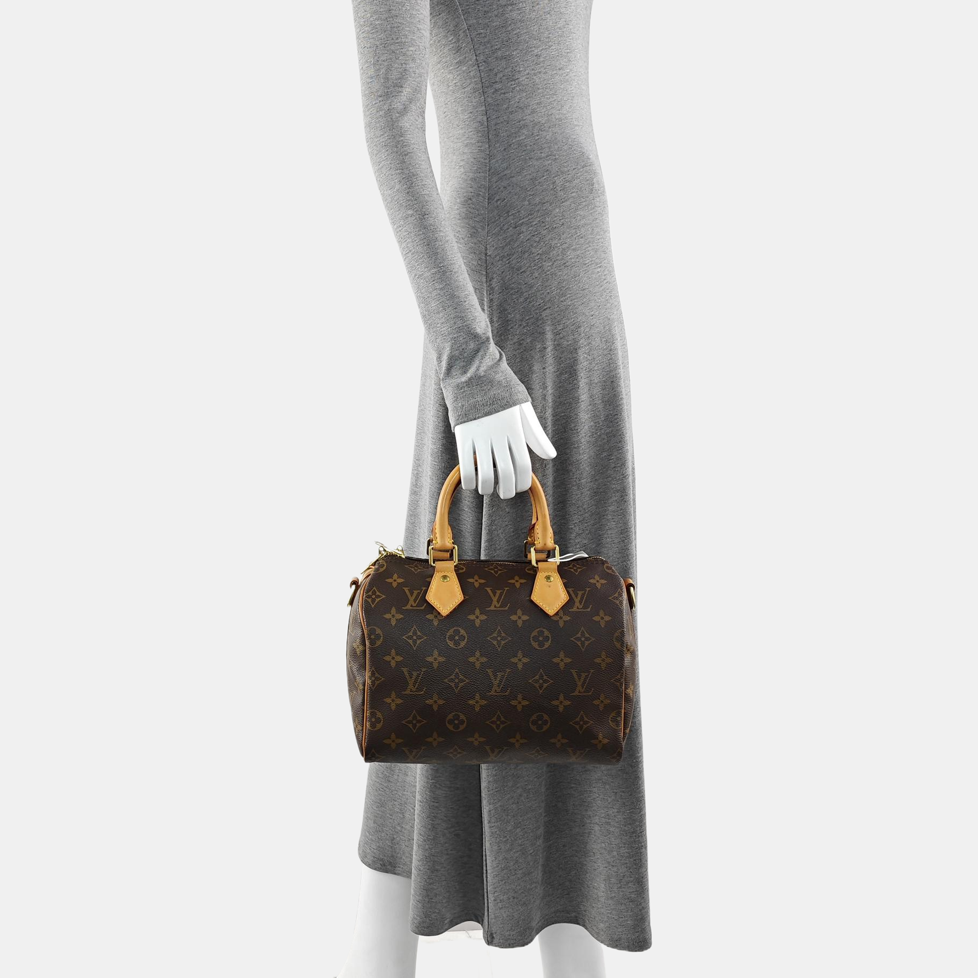 SPEEDY 25 Monogram Coated Canvas Brown