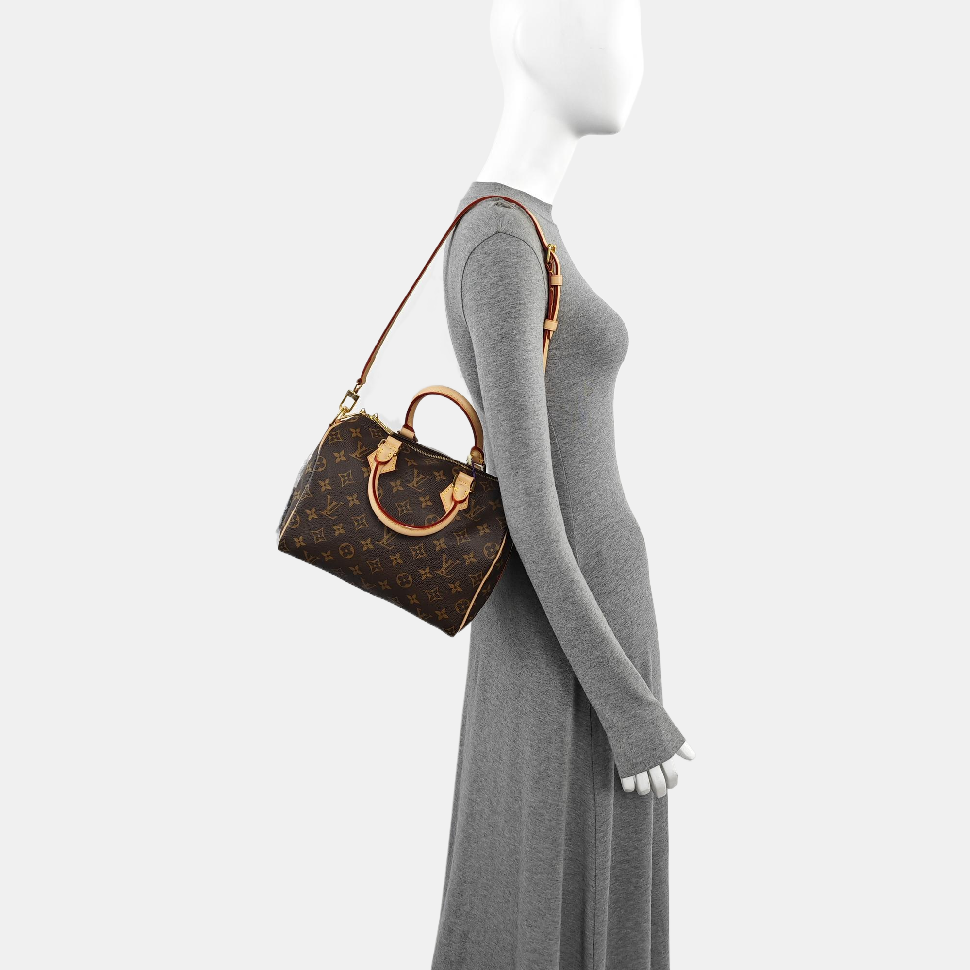 SPEEDY 25 Monogram Coated Canvas Brown