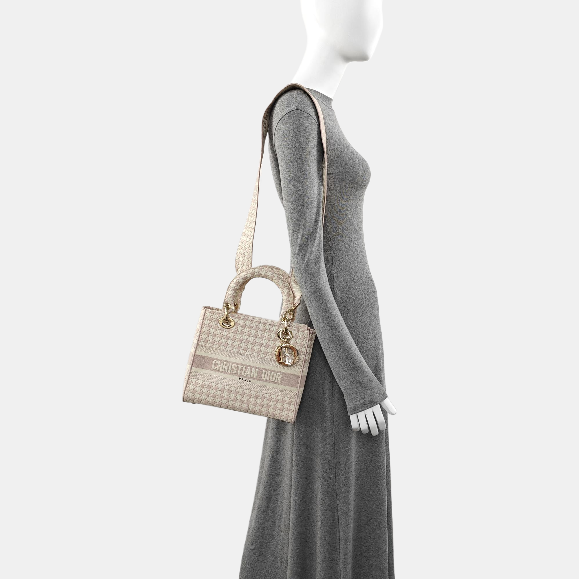 Authenticated pre-owned  Lady D-Lite Medium Fabric Multicolor - Tote Bag at Looply