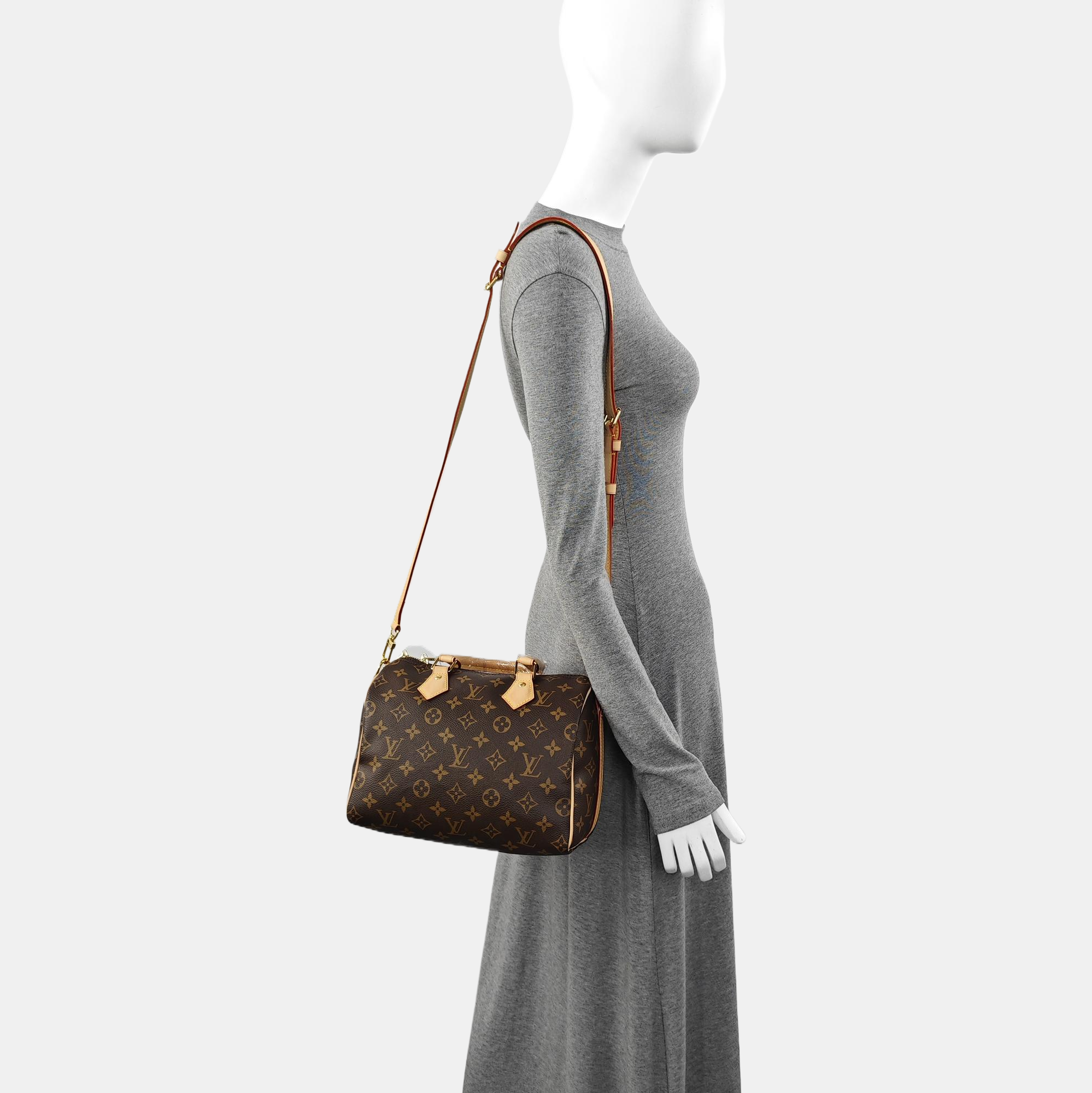 SPEEDY 25 Monogram Coated Canvas Brown