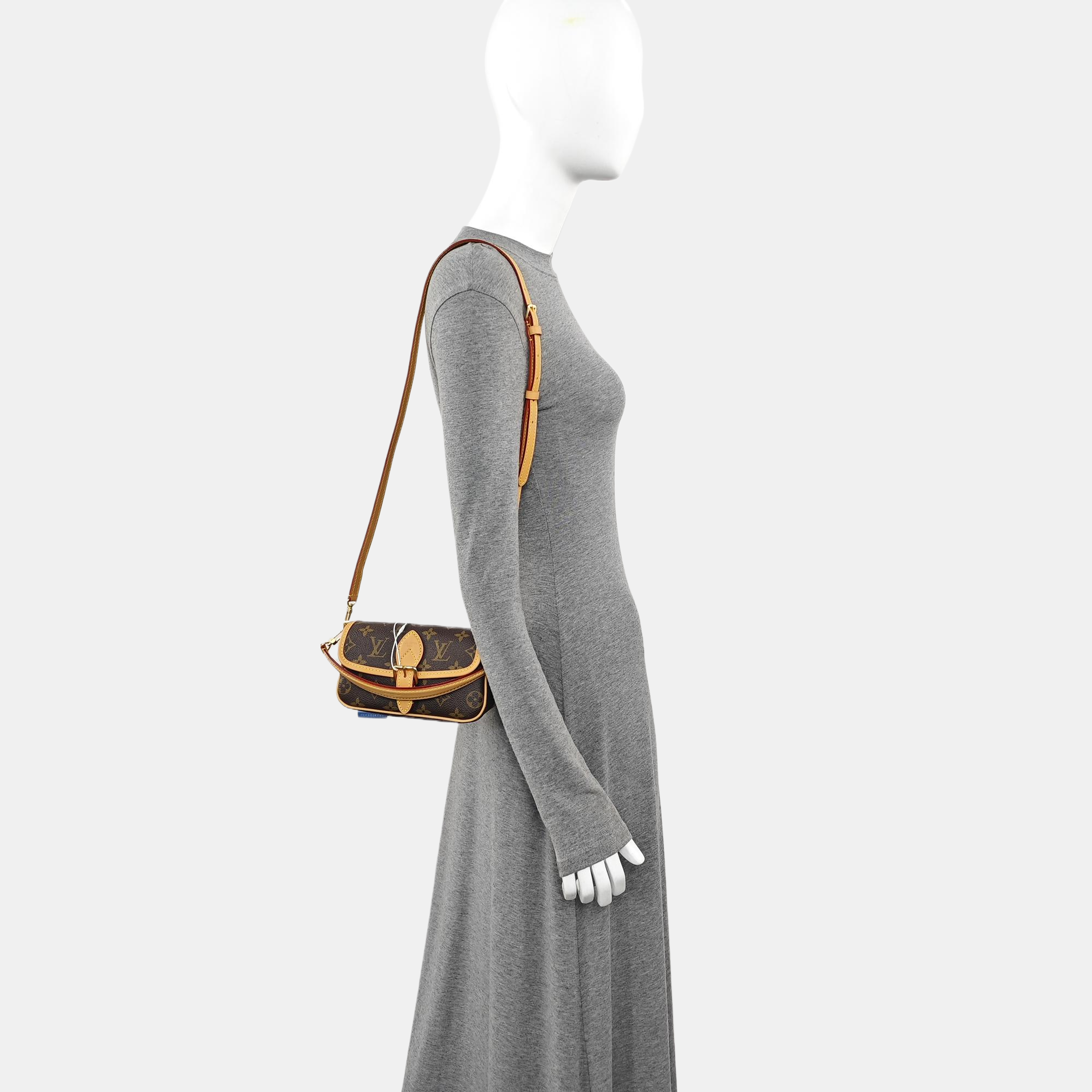 DIANE Nano Monogram Coated Canvas Brown