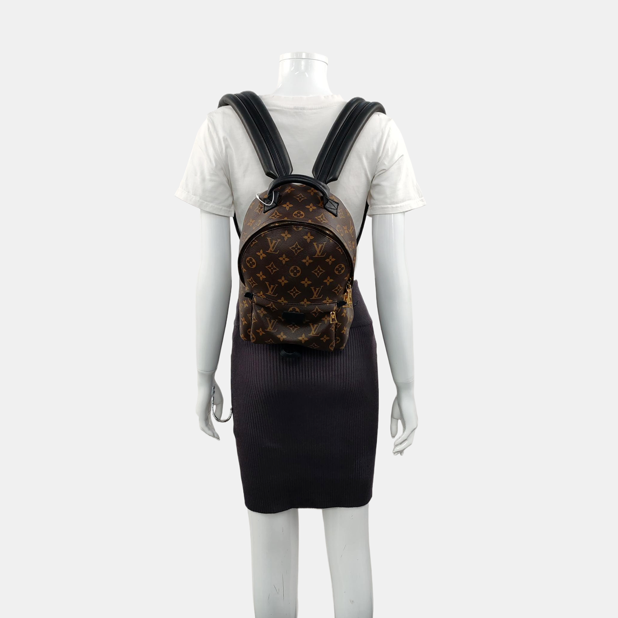 Authenticated pre-owned  PALM SPRINGS PM Monogram Coated Canvas Brown - Backpack at Looply