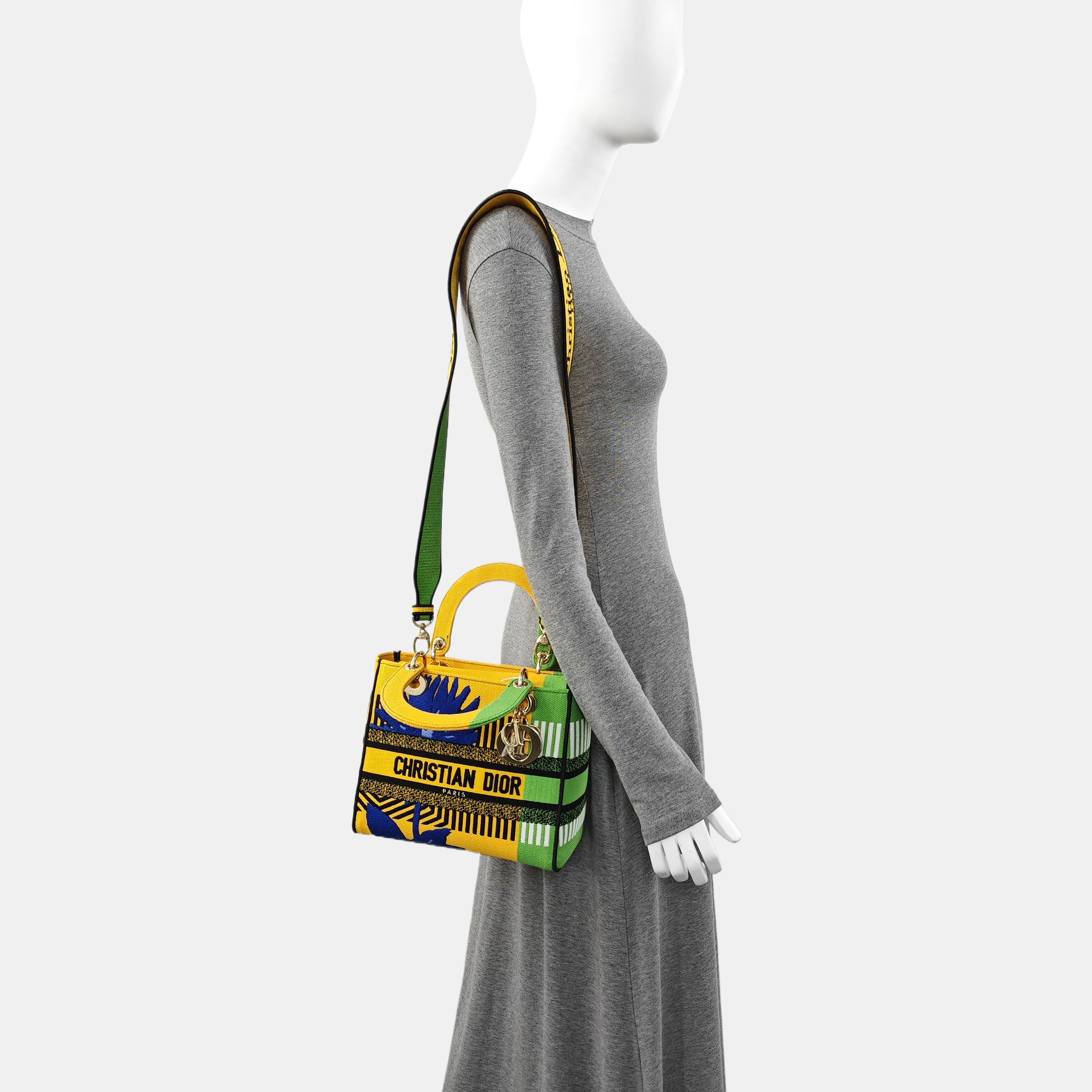 Authenticated pre-owned  Lady D-Lite Medium Fabric Multicolor - Tote Bag at Looply