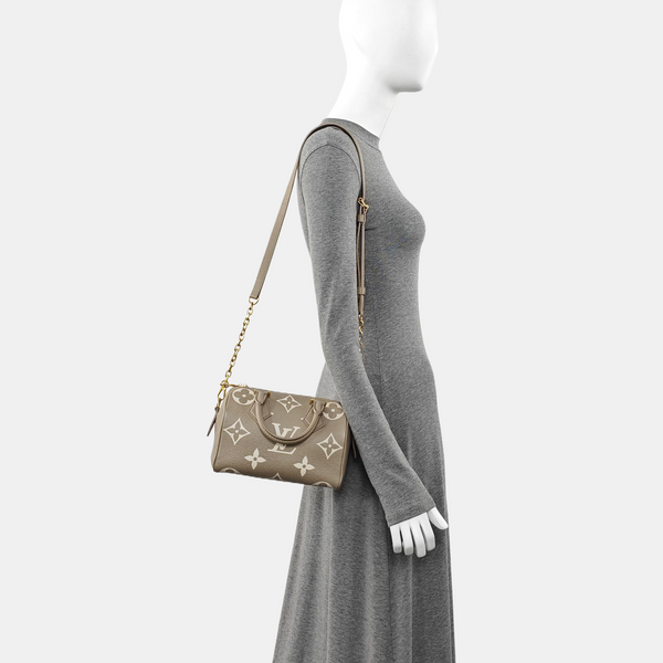 SPEEDY 20 Monogram Calfskin Gray