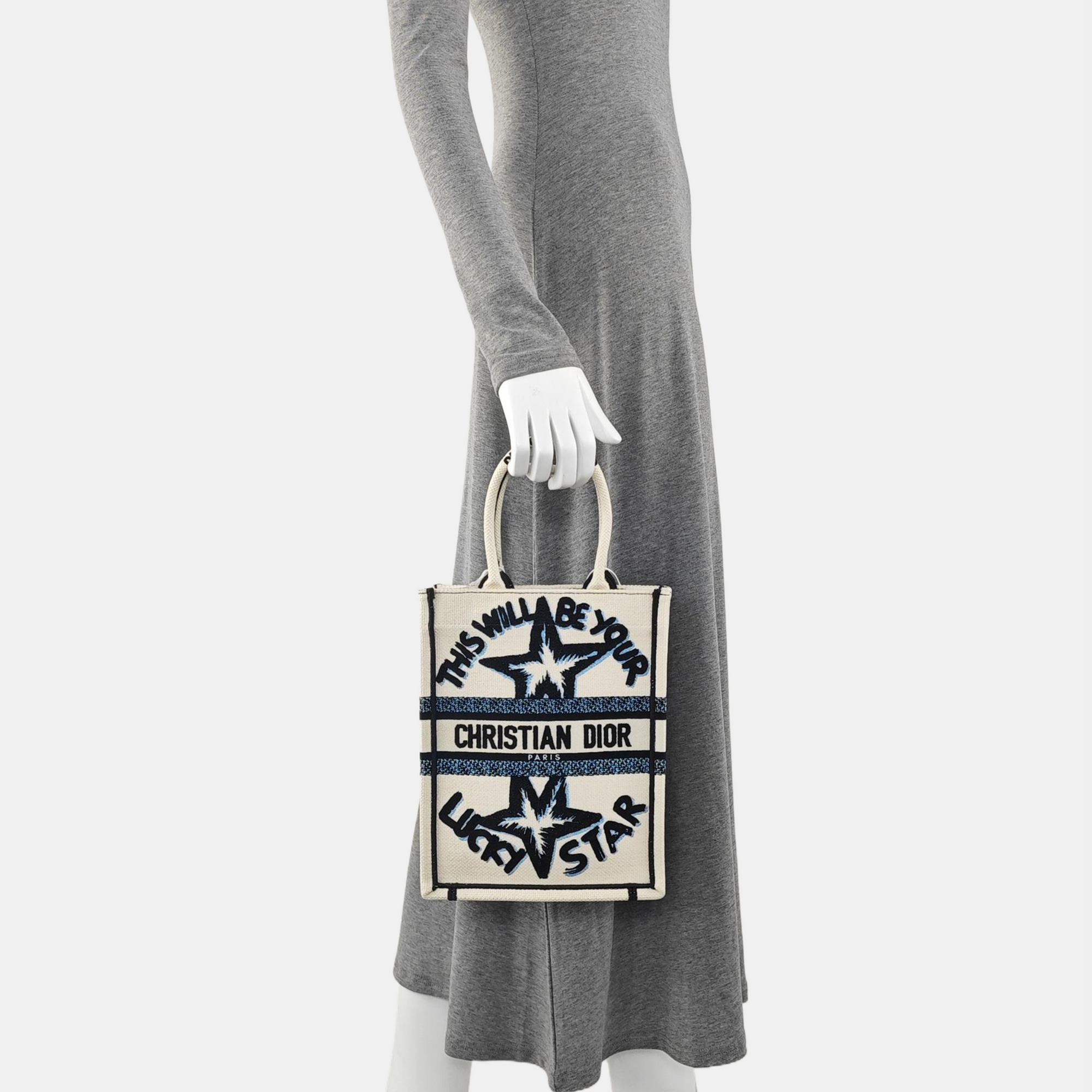 Book Tote Fabric Blue