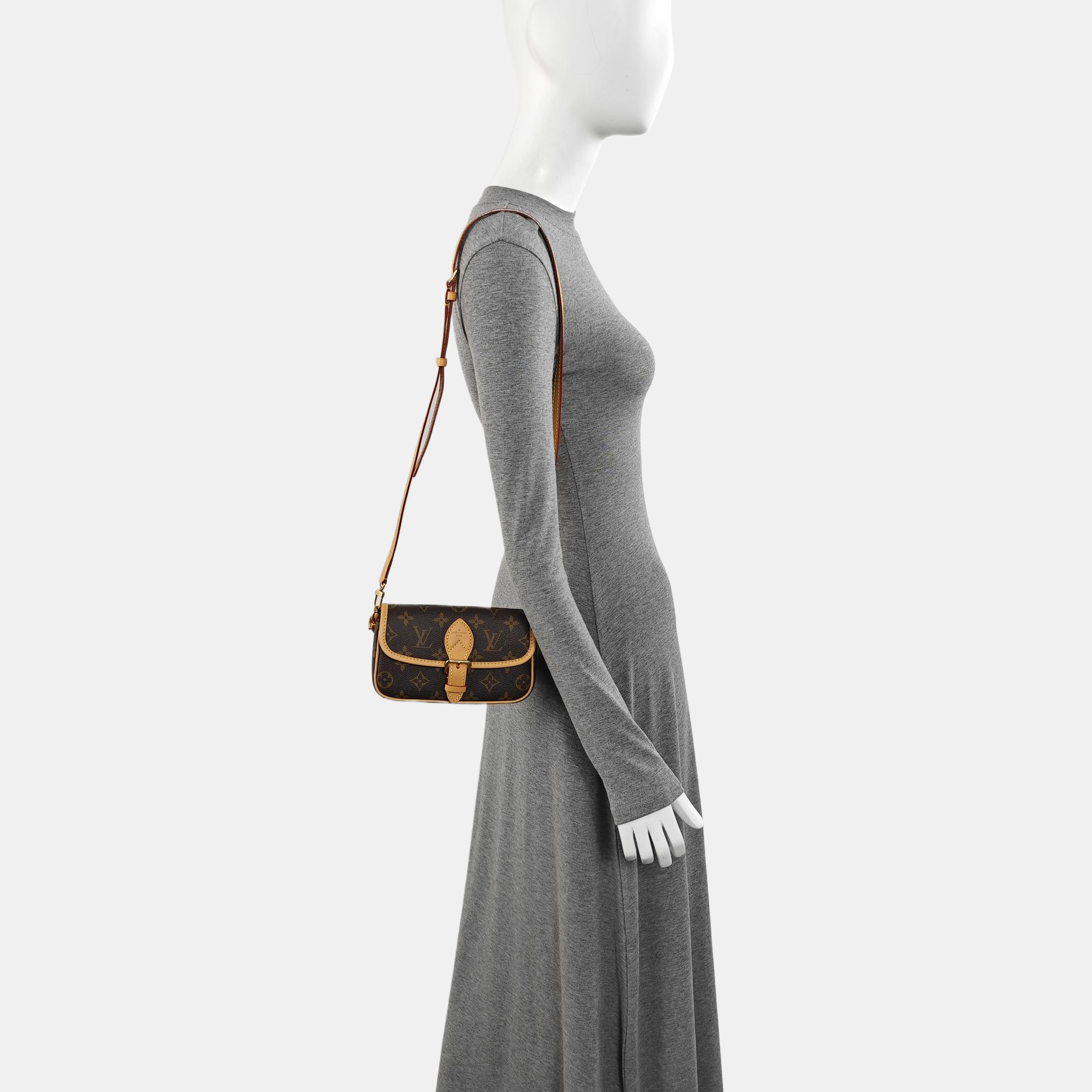 DIANE Nano Monogram Coated Canvas Brown