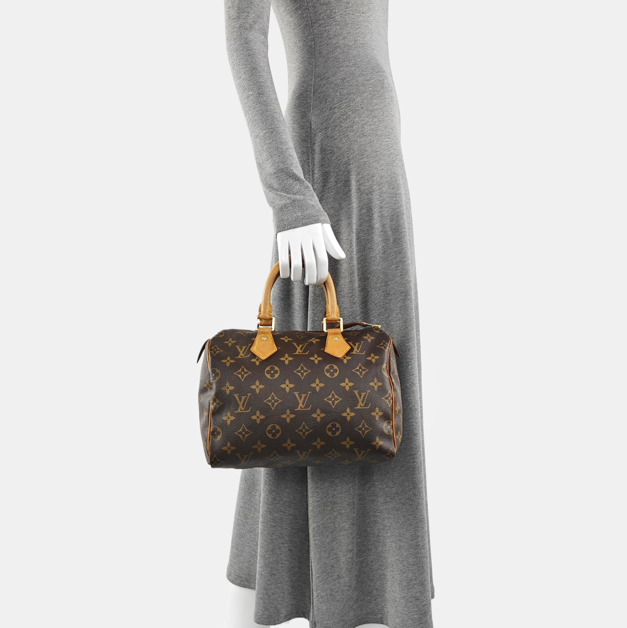 SPEEDY 25 Monogram Coated Canvas Brown