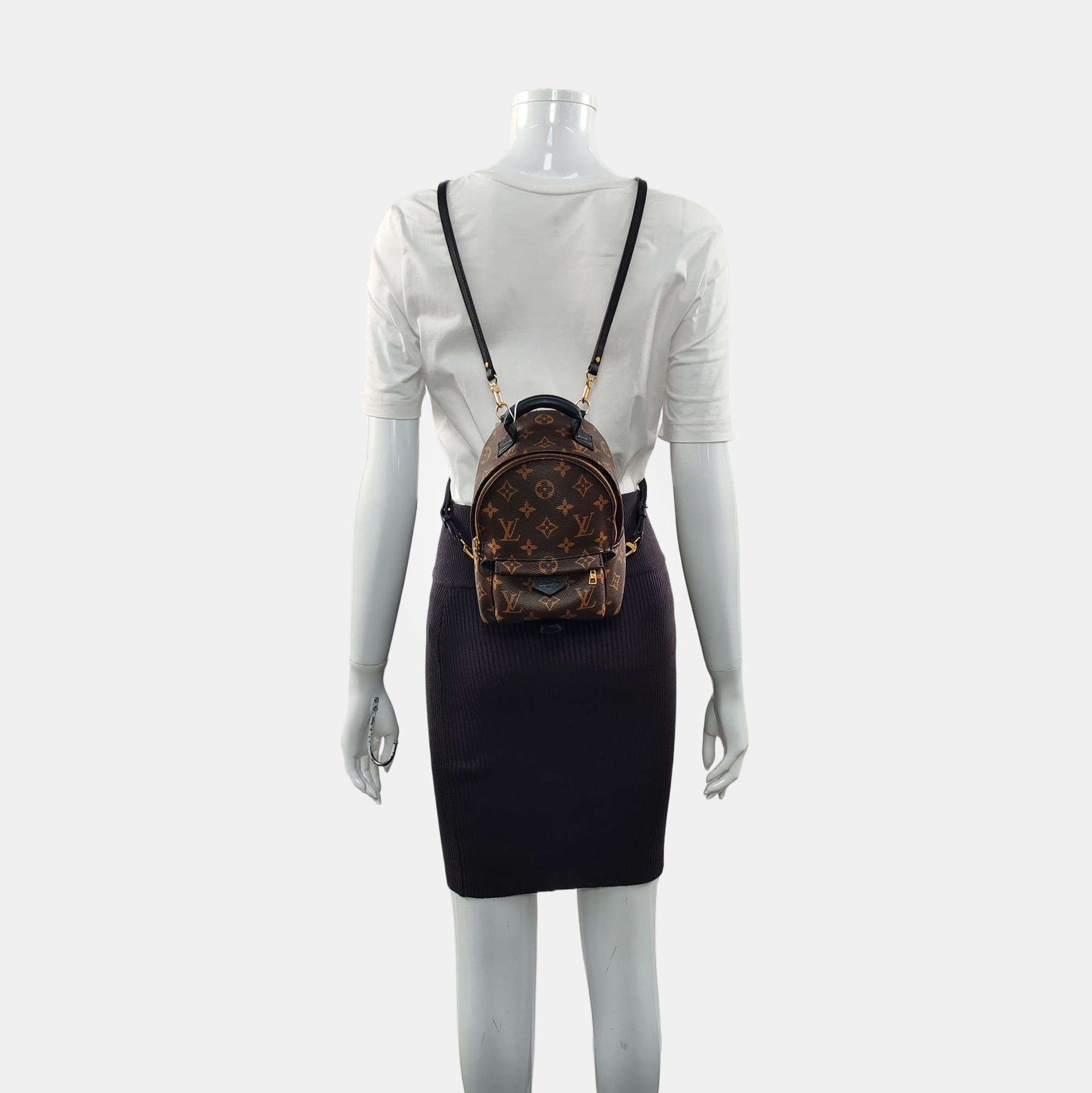 PALM SPRINGS Mini Monogram Coated Canvas Brown