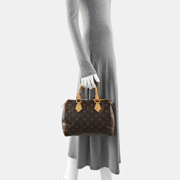SPEEDY 25 Monogram Coated Canvas Brown