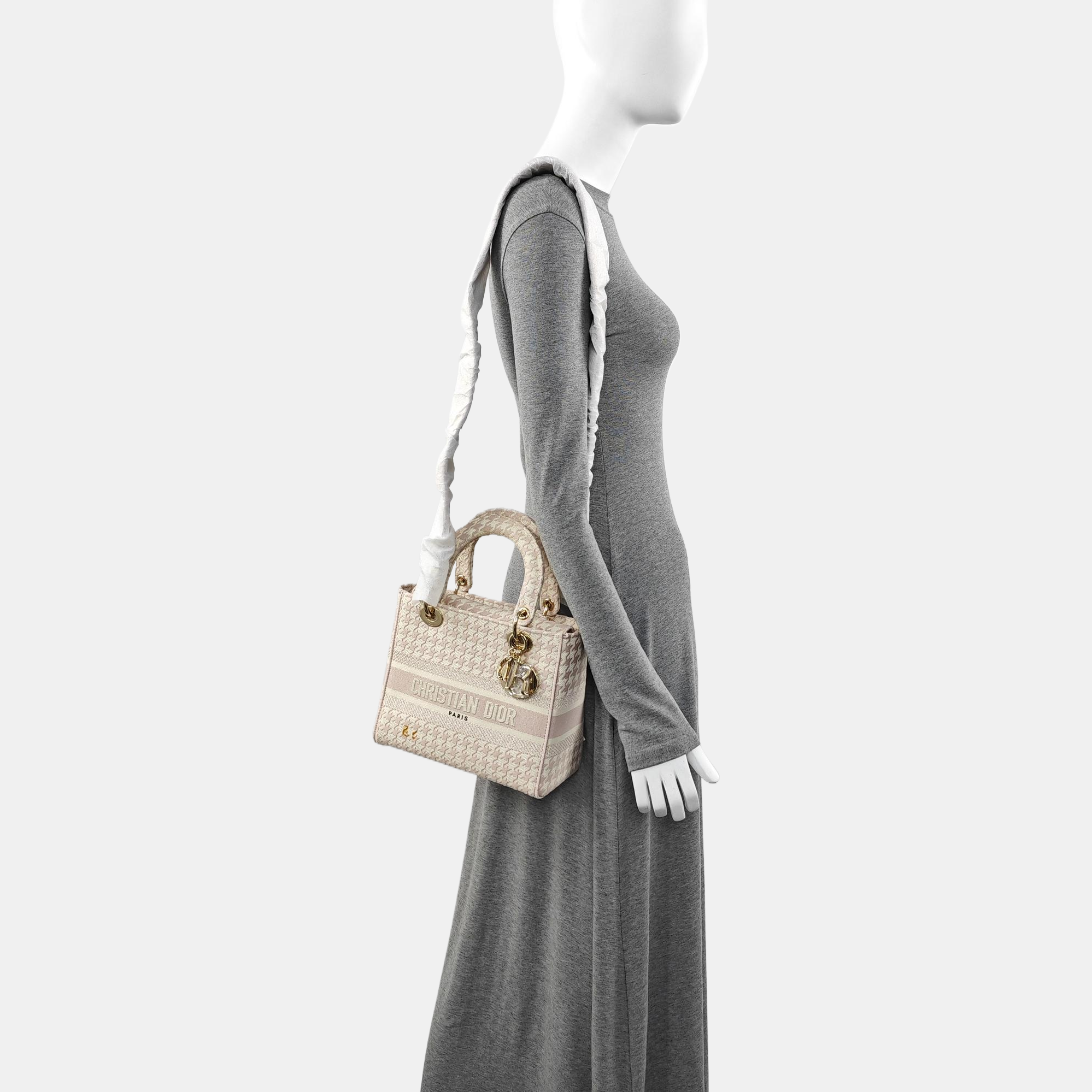 Authenticated pre-owned  Lady D-Lite Medium Fabric Multicolor - Tote Bag at Looply