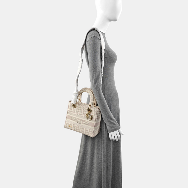 Authenticated pre-owned  Lady D-Lite Medium Fabric Multicolor - Tote Bag at Looply