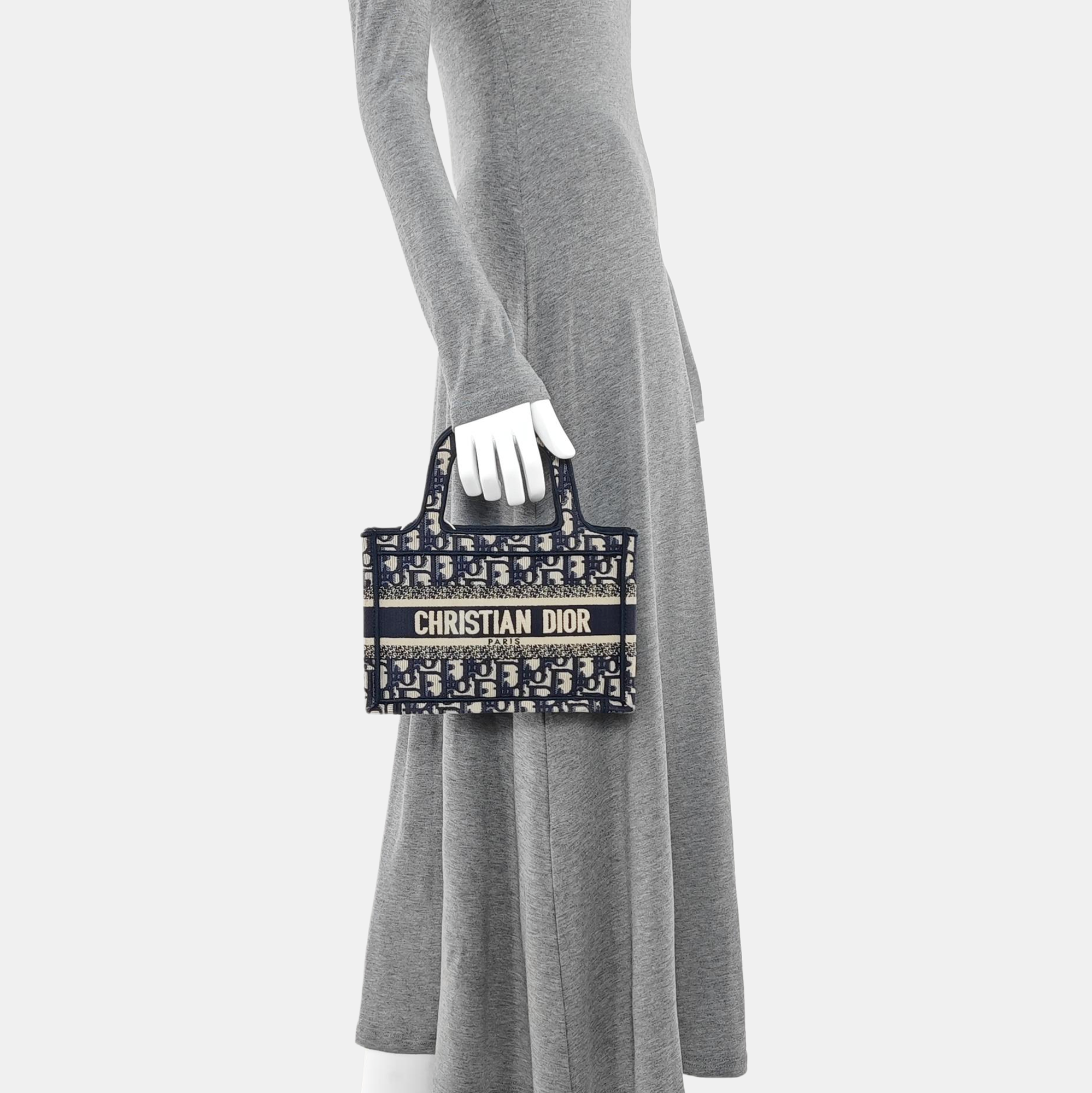 Book Tote Mini Oblique Canvas Blue