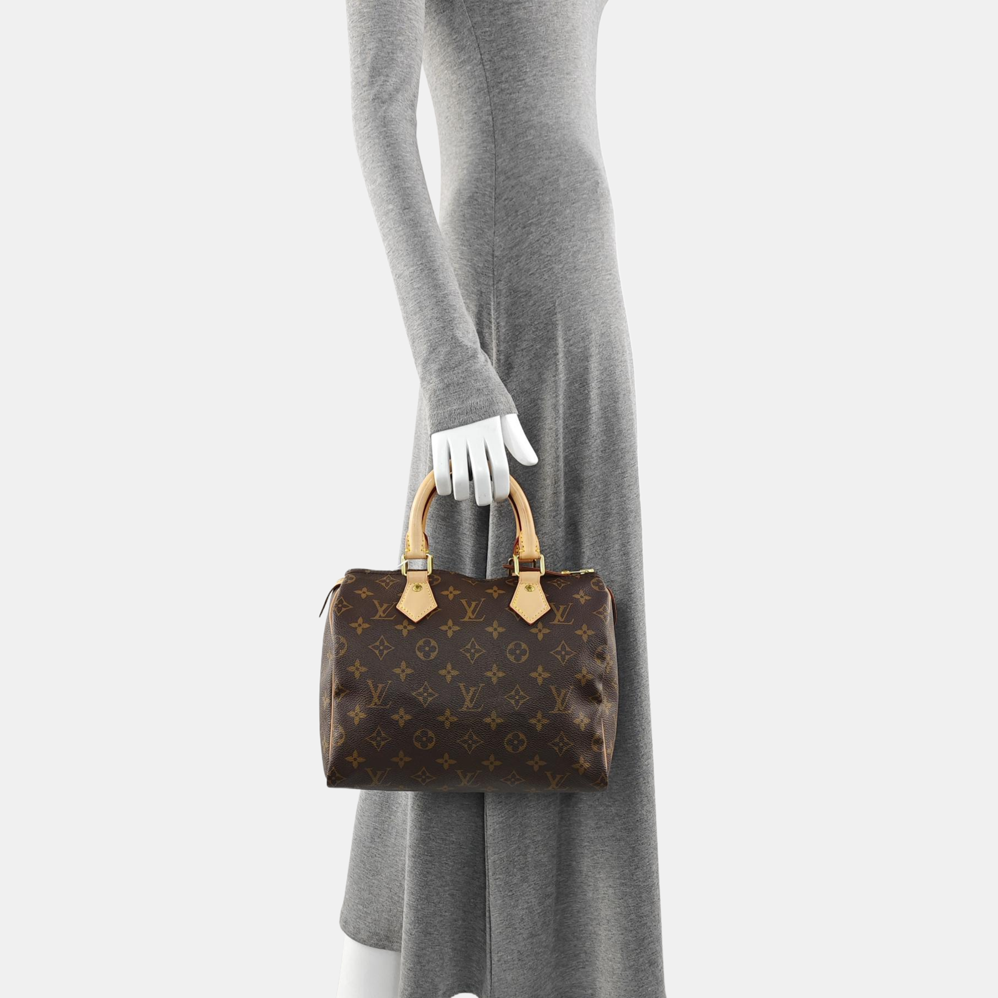 SPEEDY 25 Monogram Coated Canvas Brown