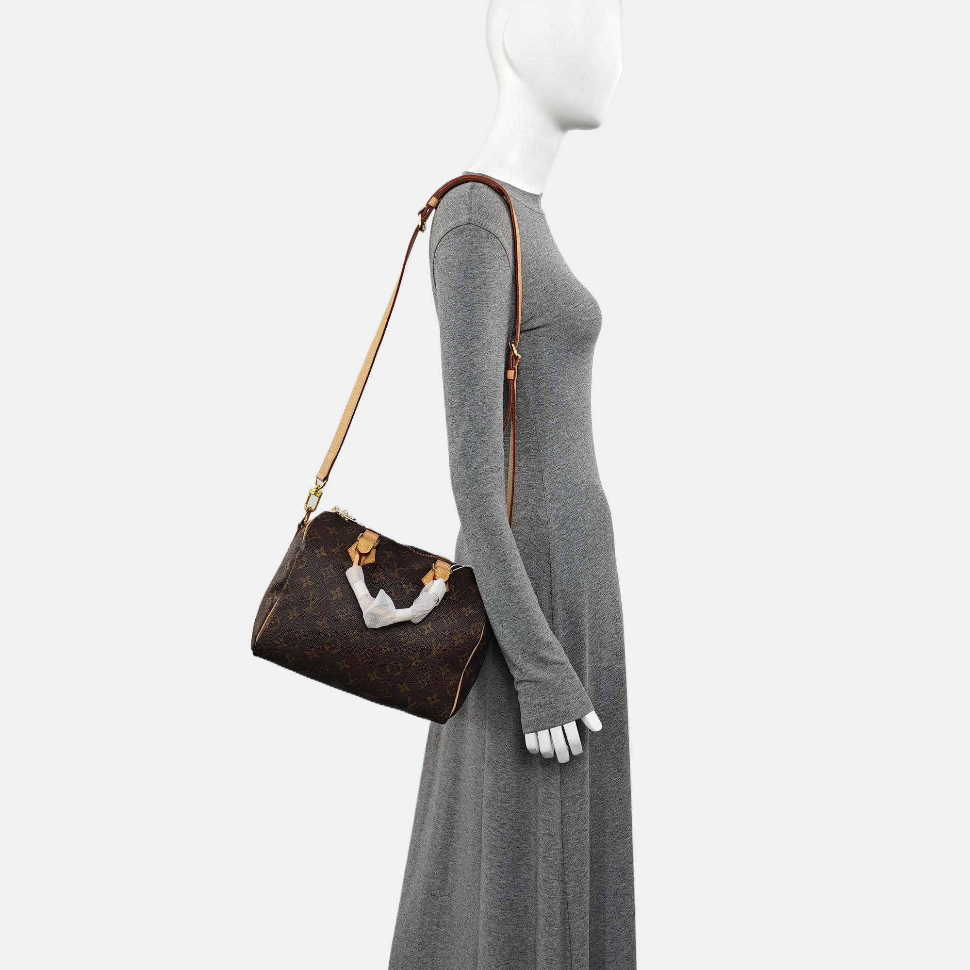 SPEEDY 25 Monogram Coated Canvas Brown