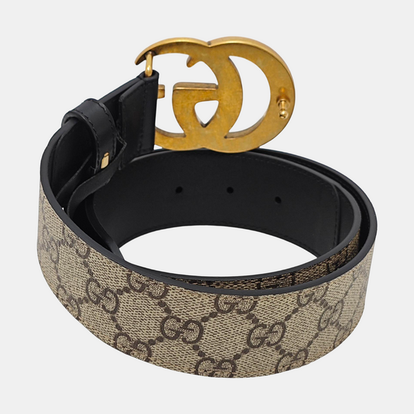 Coated Canvas Belt Beige