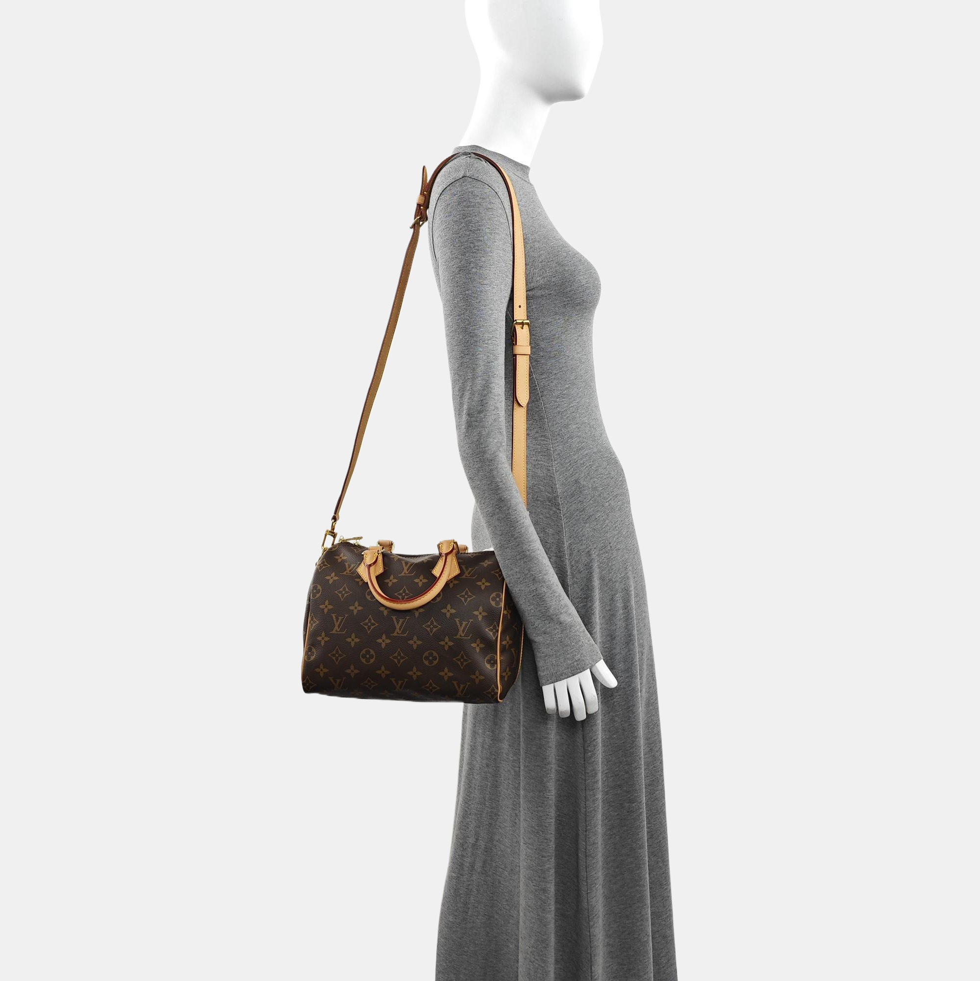 SPEEDY 25 Monogram Coated Canvas Brown