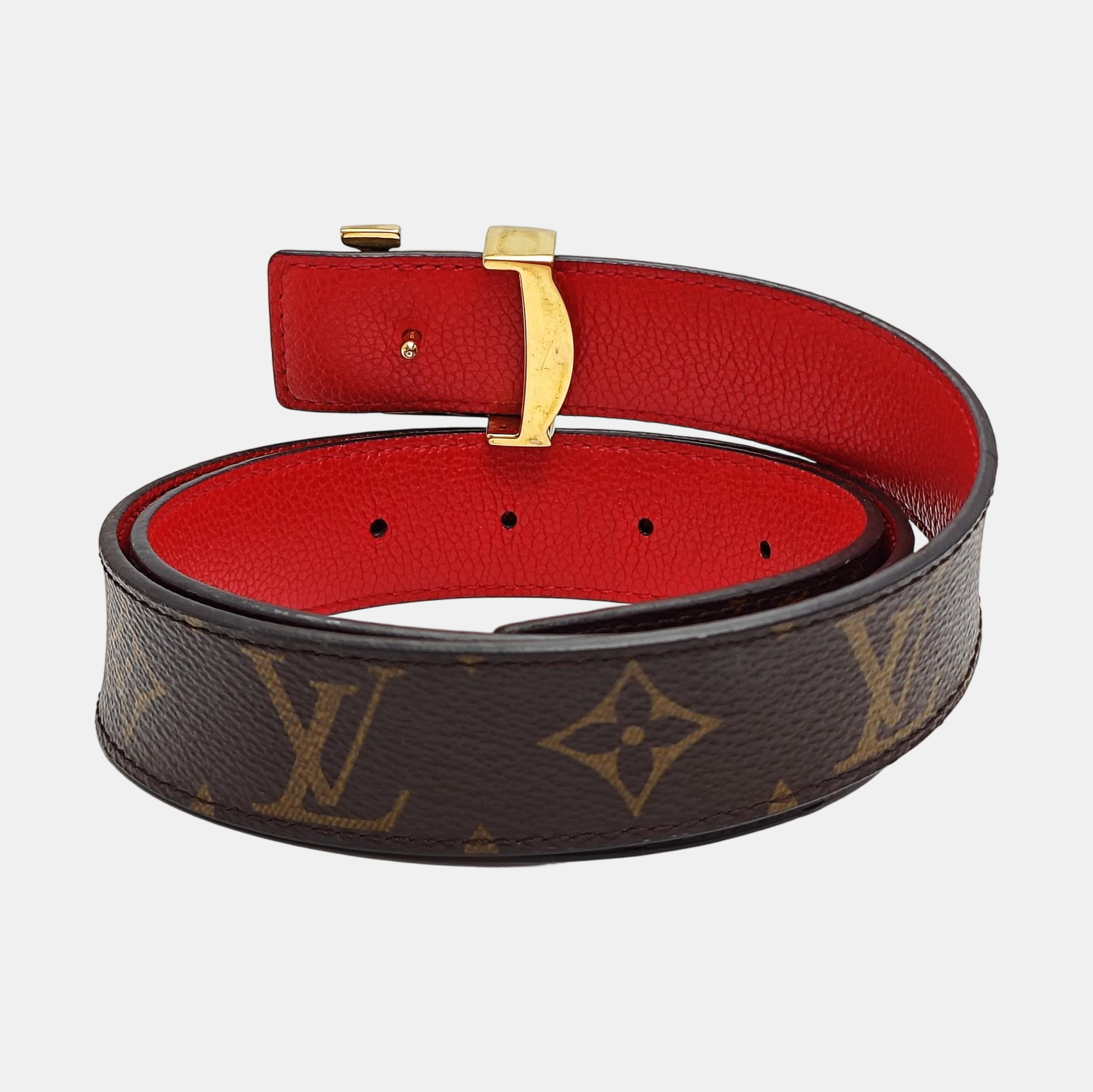 Coated Canvas Belt Brown